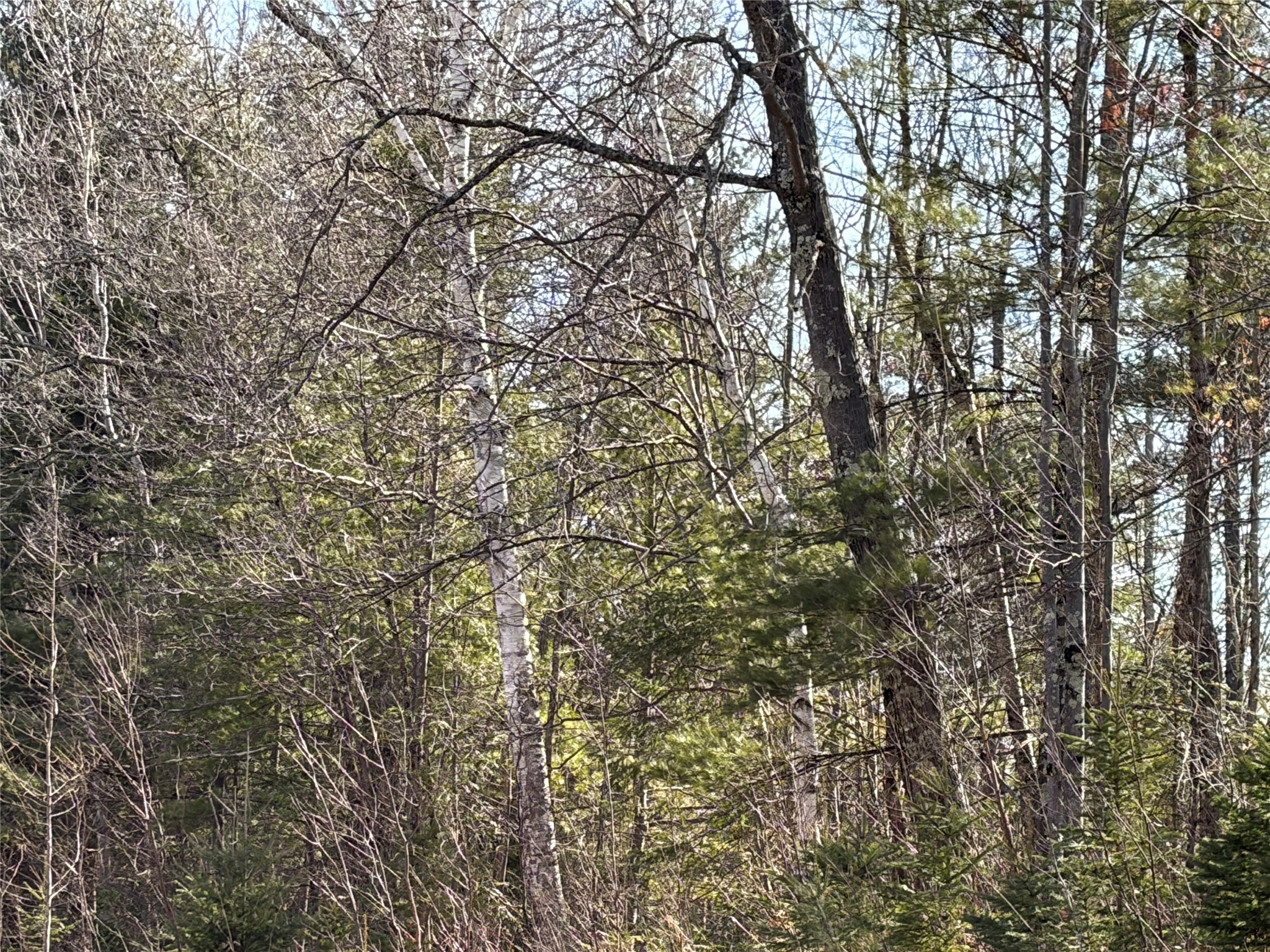 On State Highway 70 Property Photo 5
