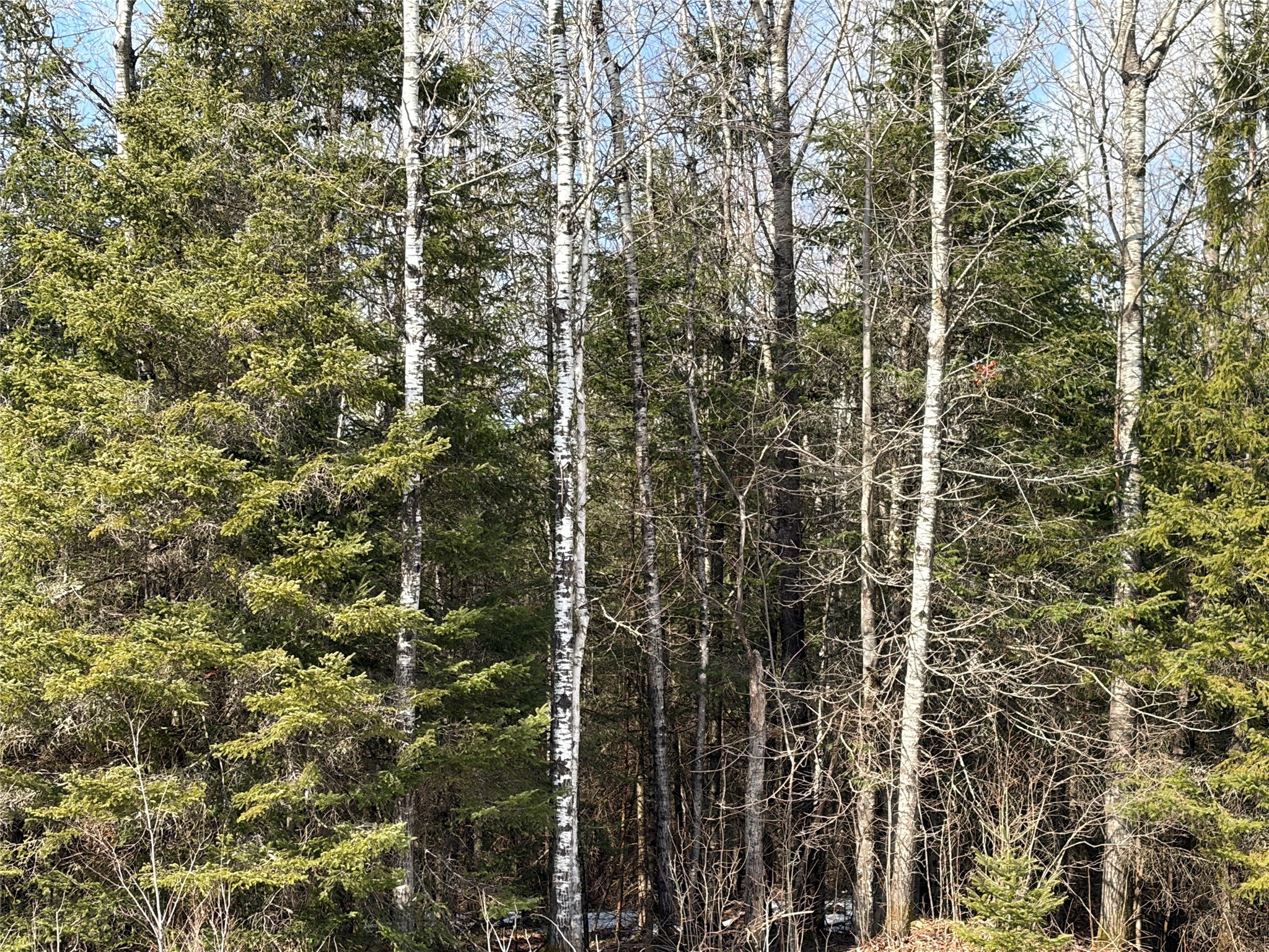 On County Highway F Property Photo 5