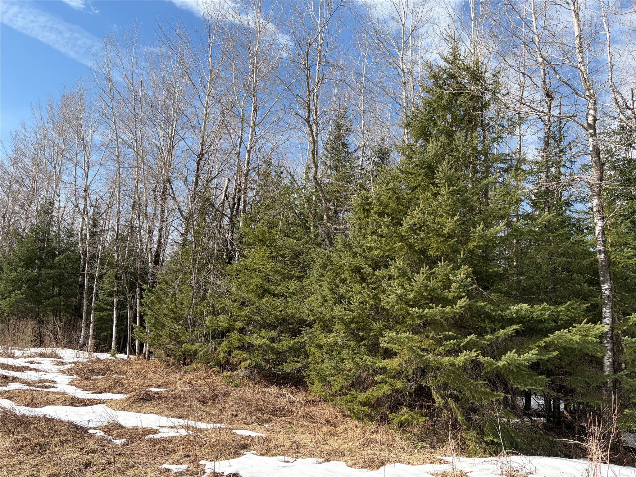 On County Highway F Property Photo 3