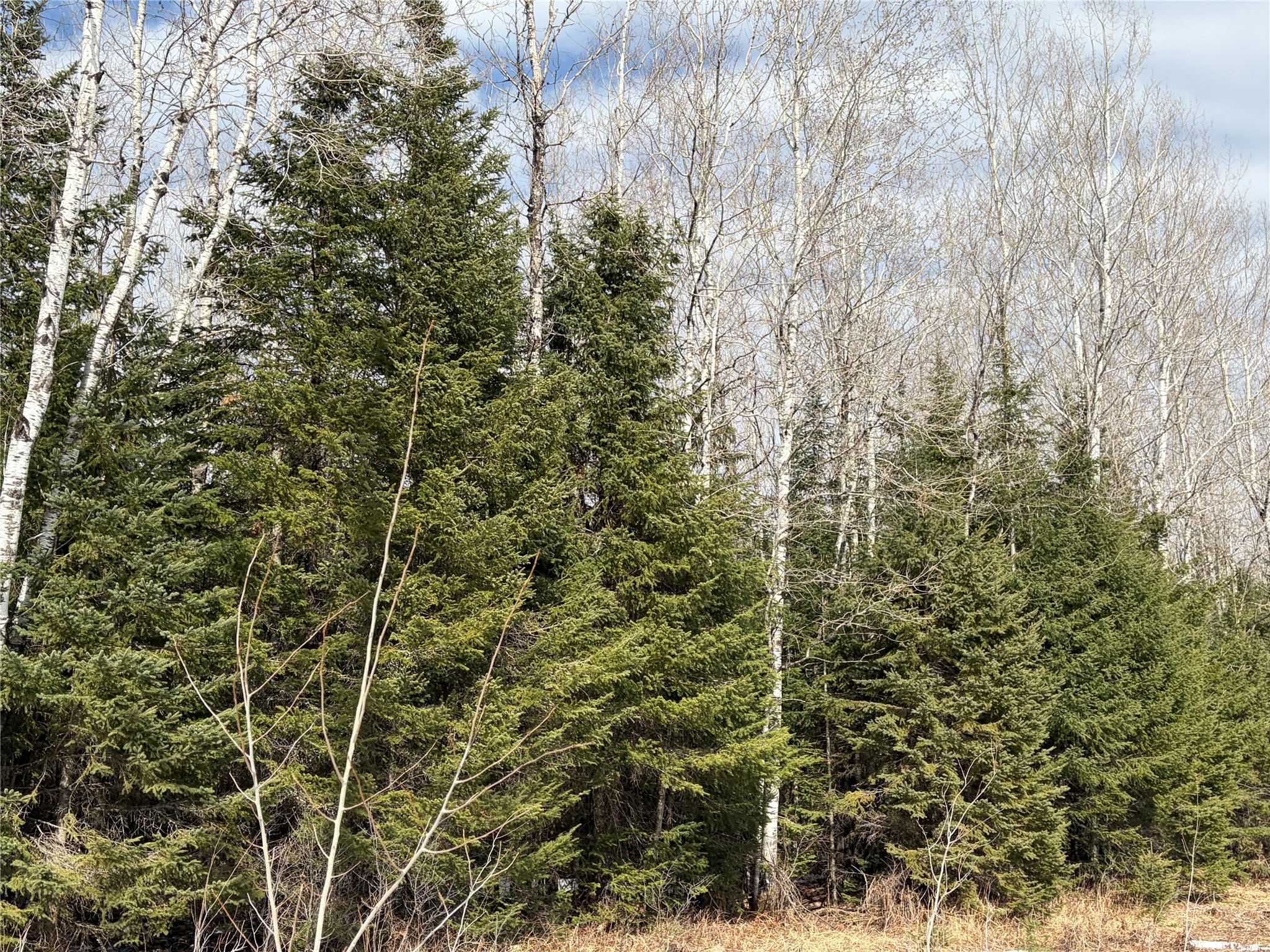 On County Highway F Property Photo 5