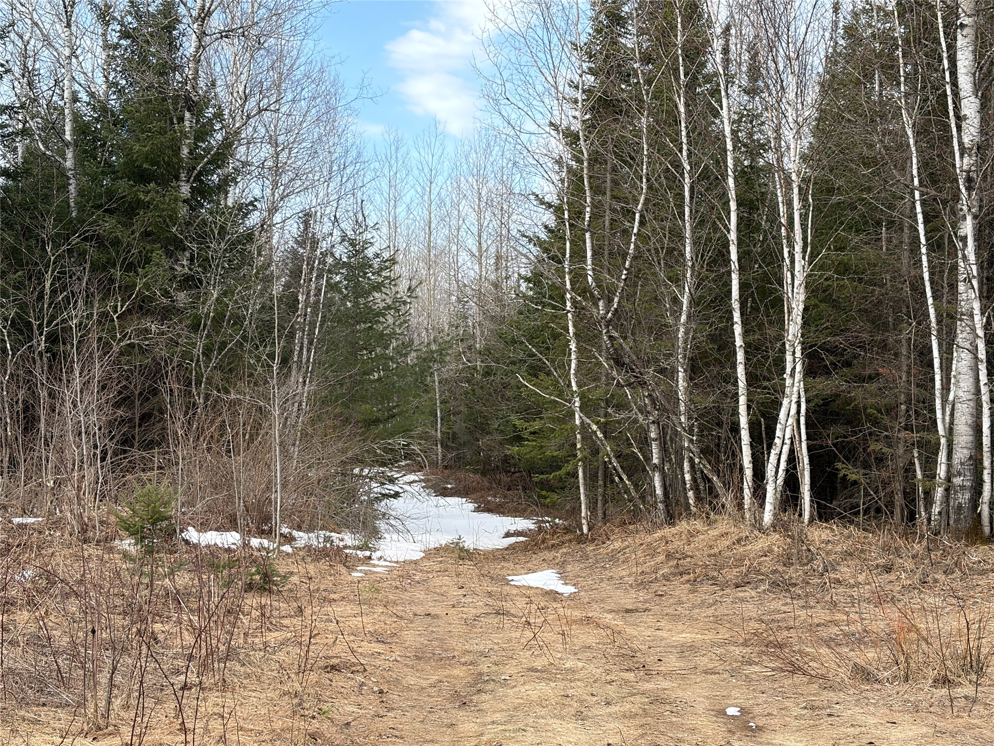 On County Highway F Property Photo 6