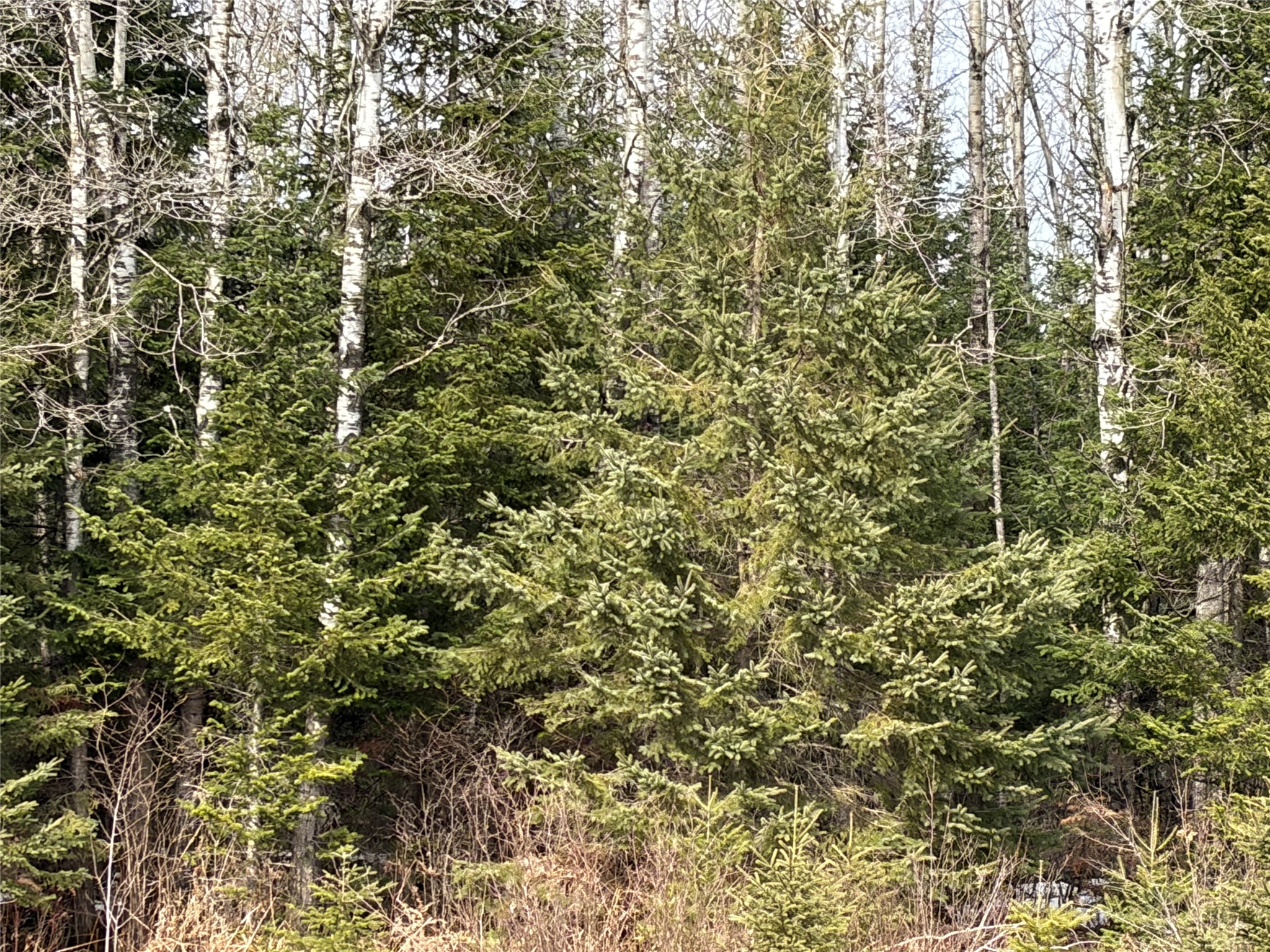 On County Highway F Property Photo 3