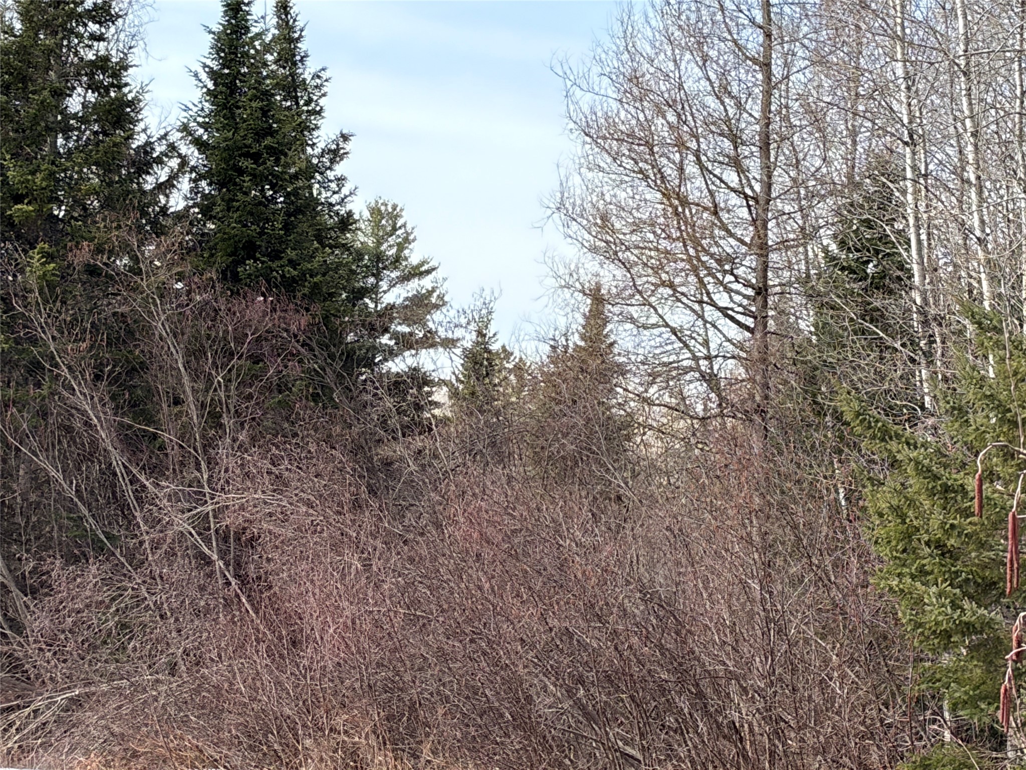 On County Highway F Property Photo 4