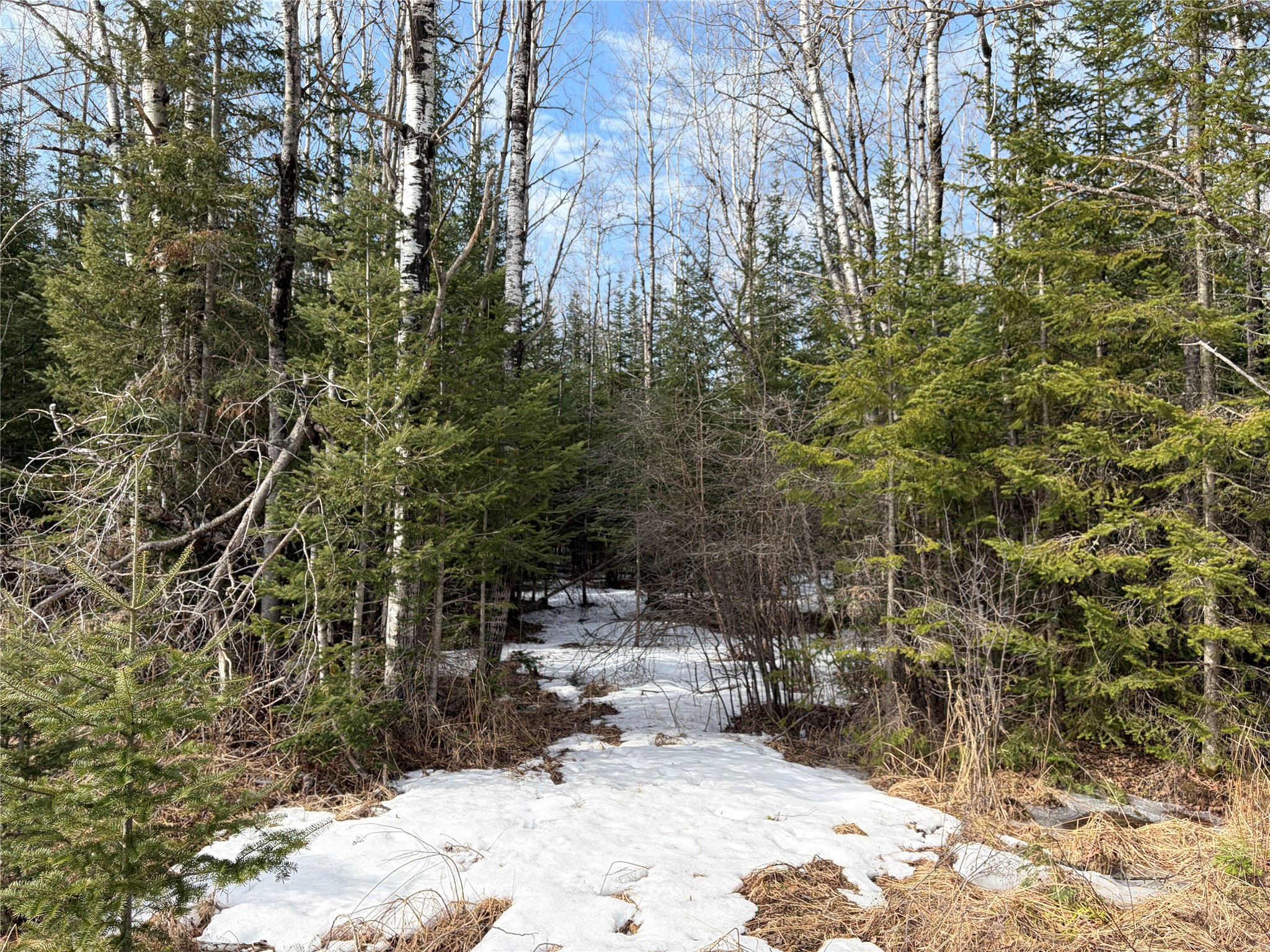 On County Highway F Property Photo 3