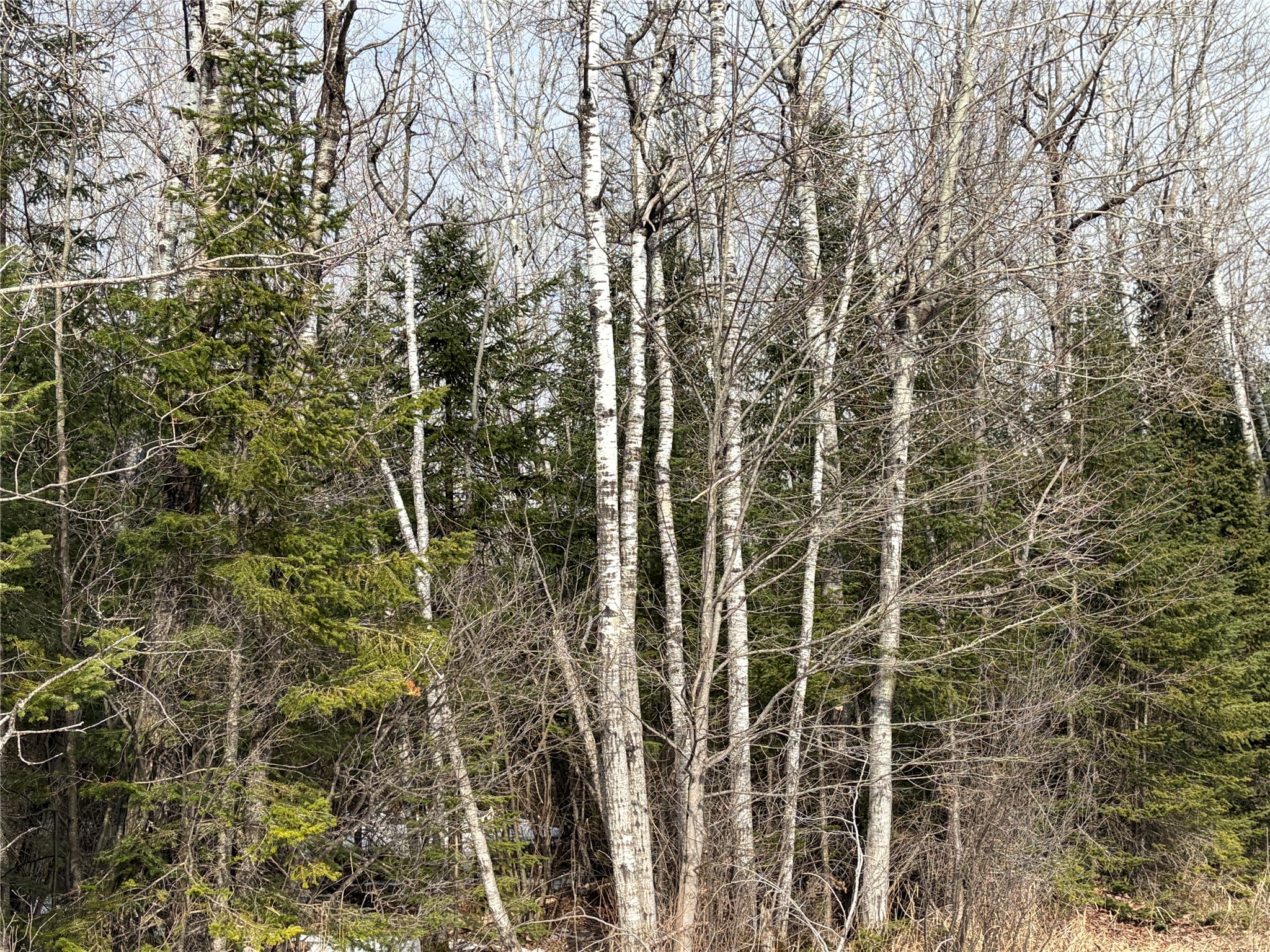 On County Highway F Property Photo 4
