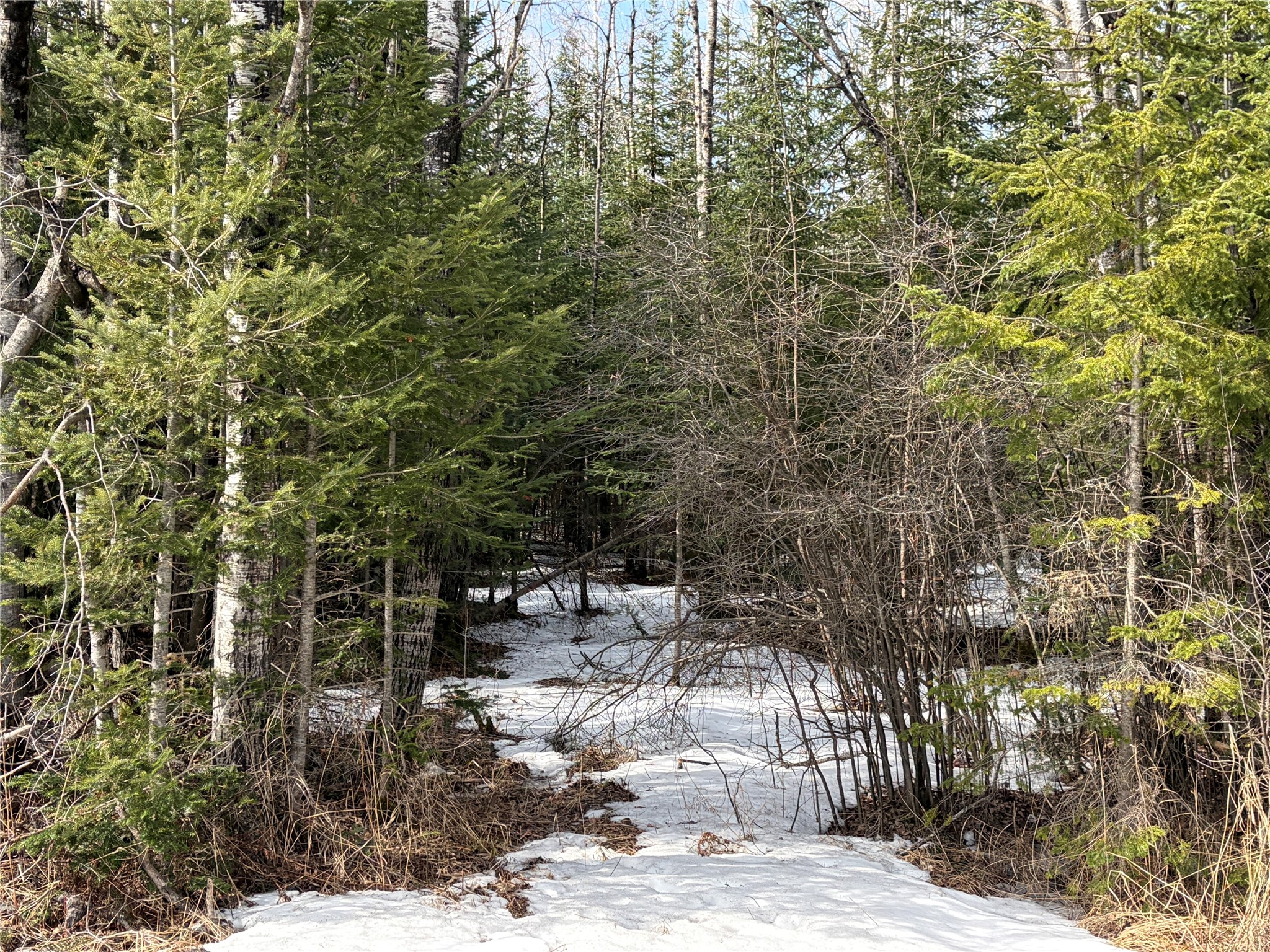On County Highway F Property Photo 5