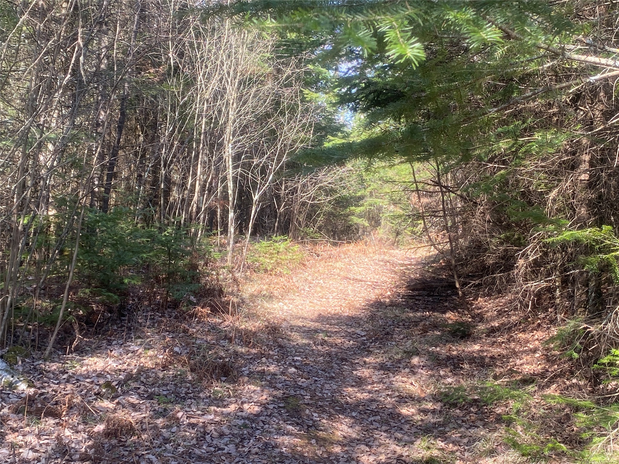 On County Highway F Property Photo 4
