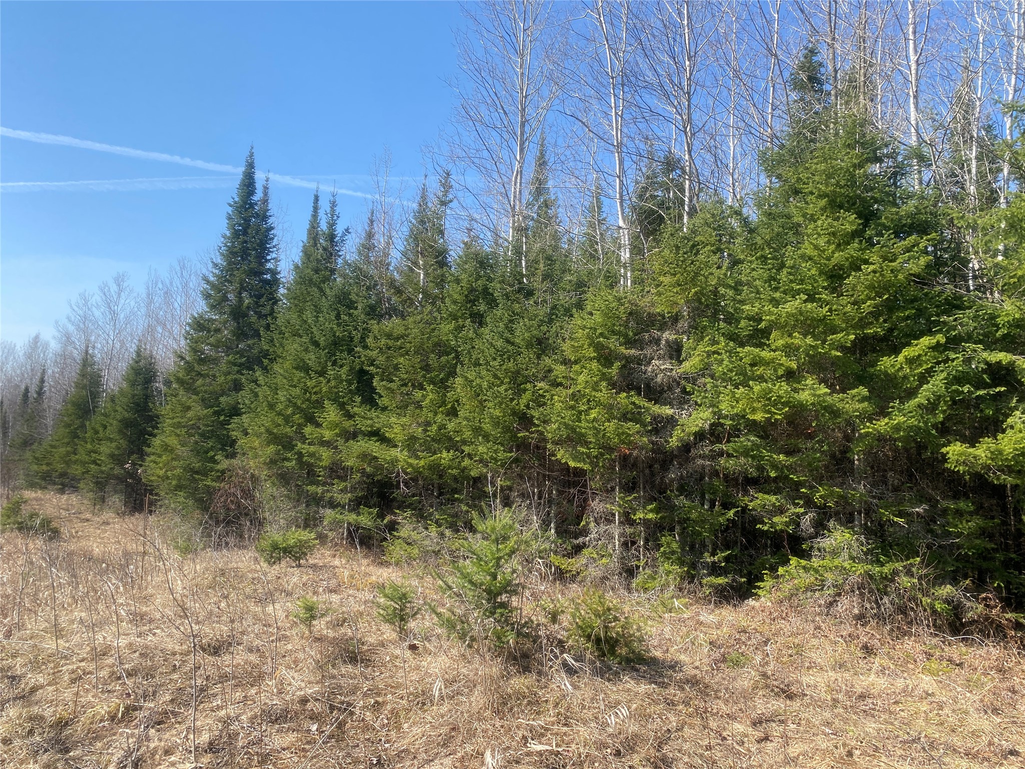 On County Highway F Property Photo 5