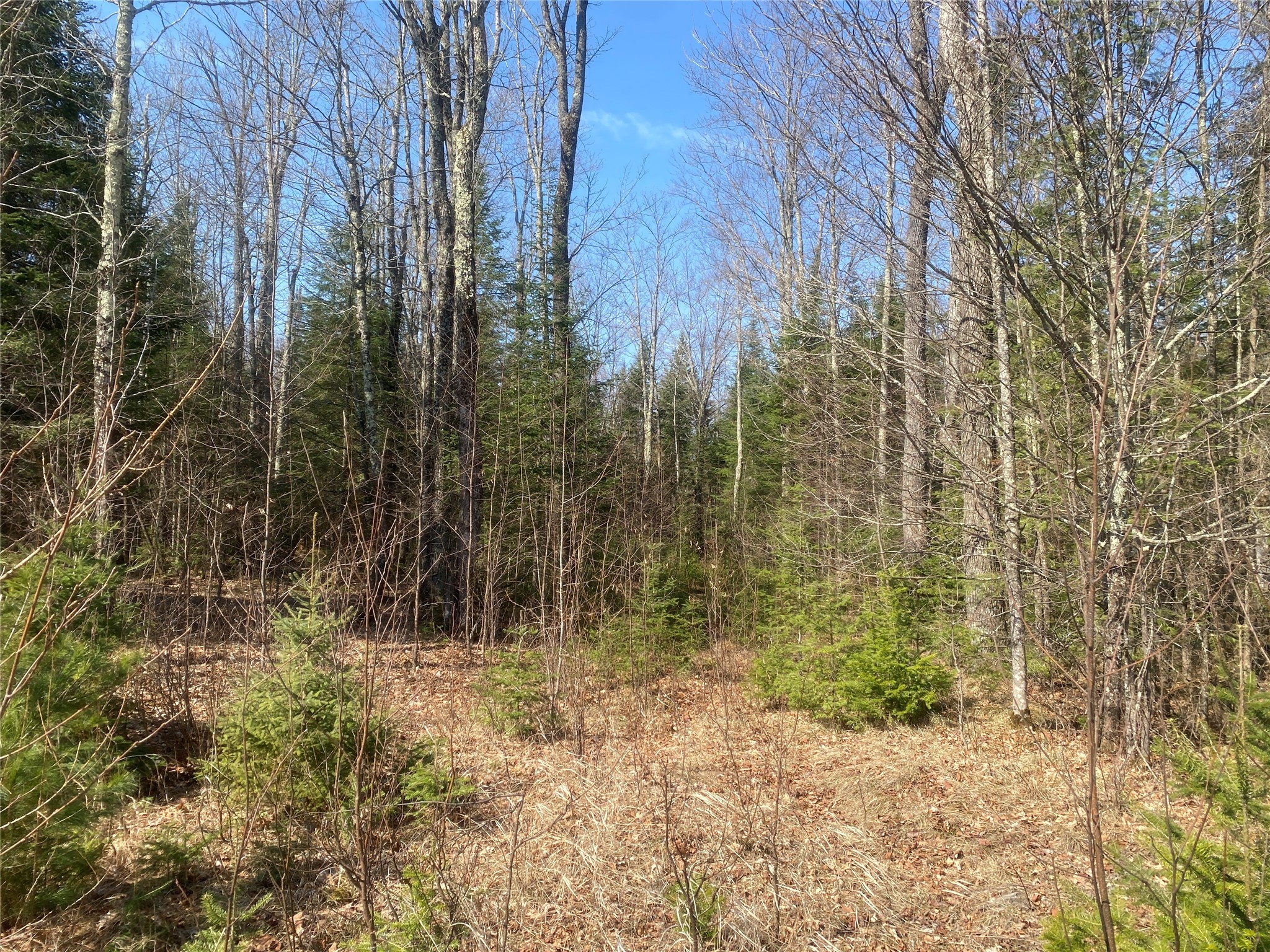 On County Highway F Property Photo 7