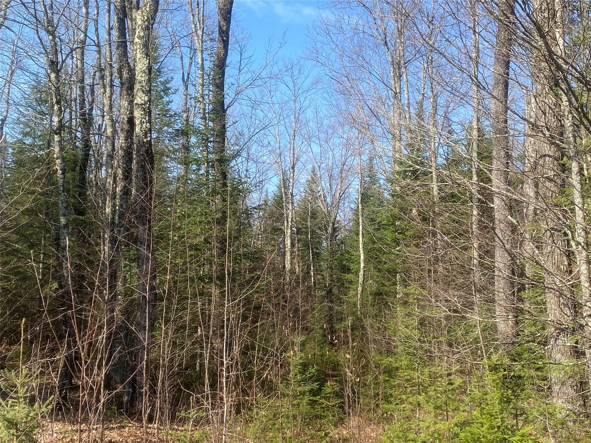 On County Highway F Property Photo 8