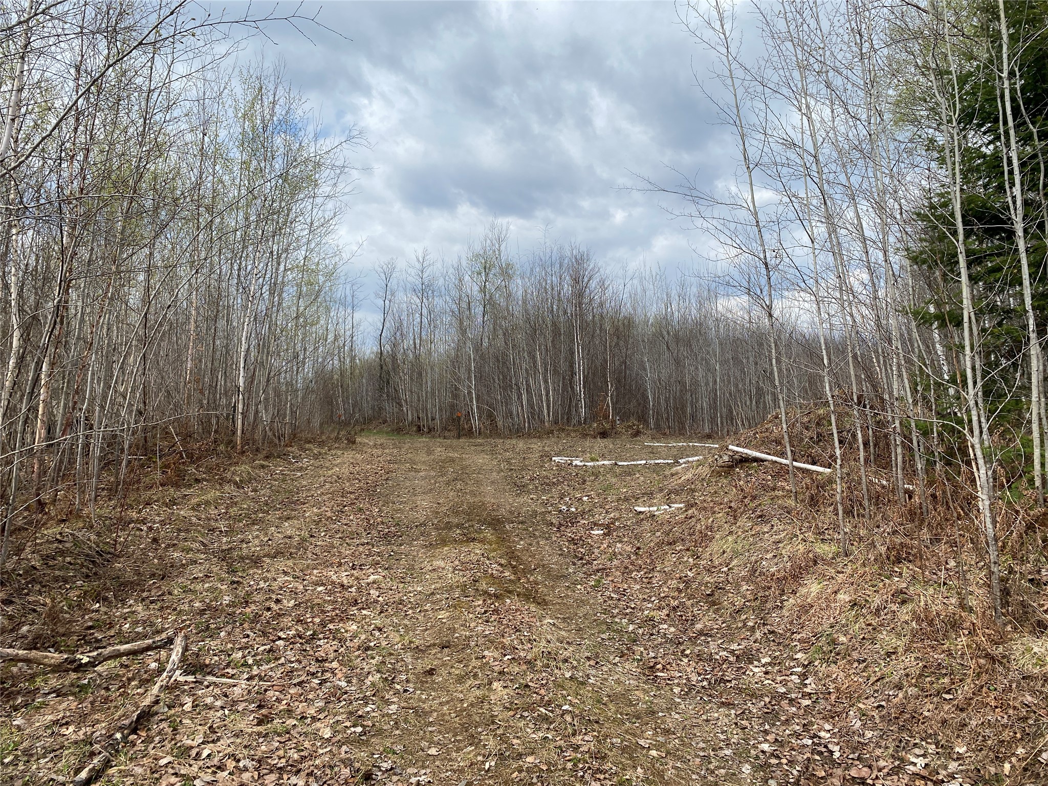 Near Wilson Lake Road