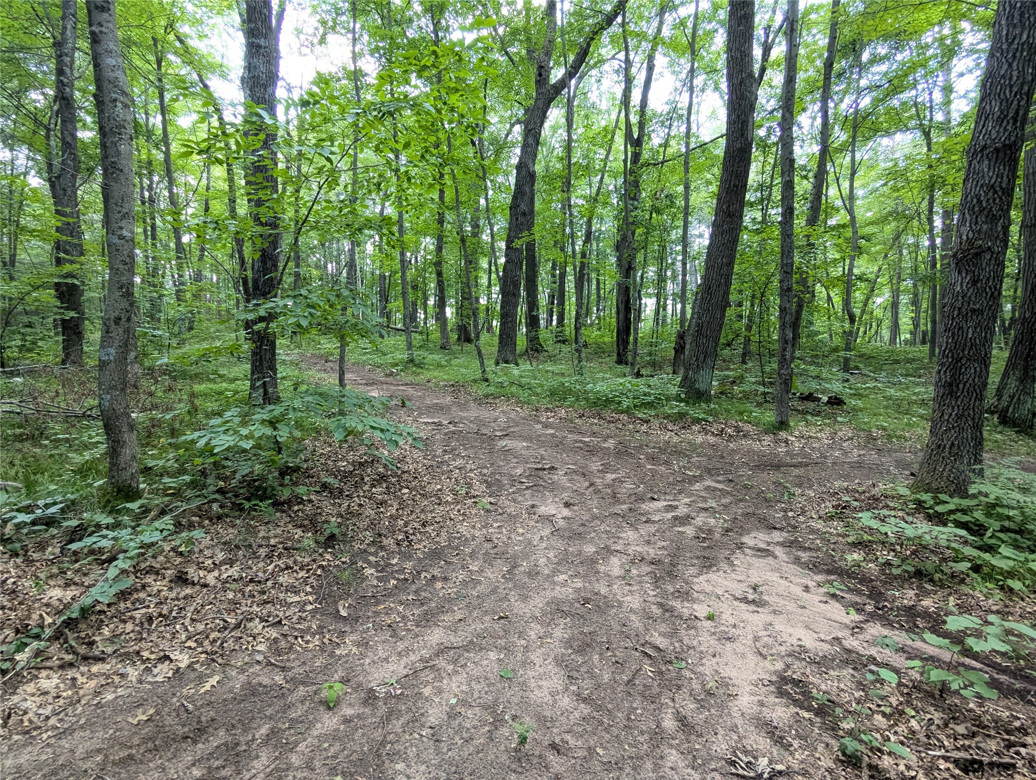 Lot 2 Fosmo Drive Property Photo 2