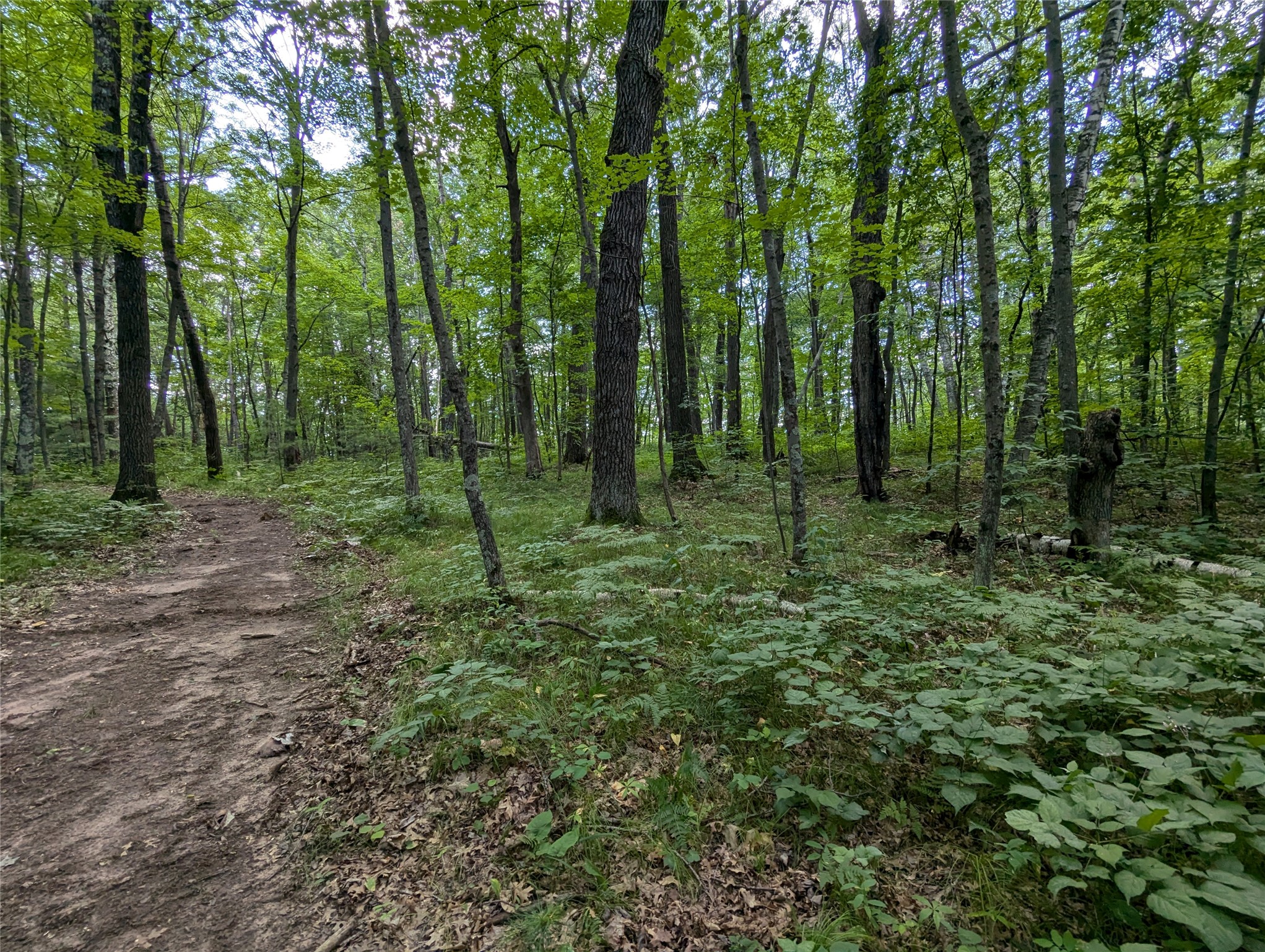 Lot 2 Fosmo Drive Property Photo 4