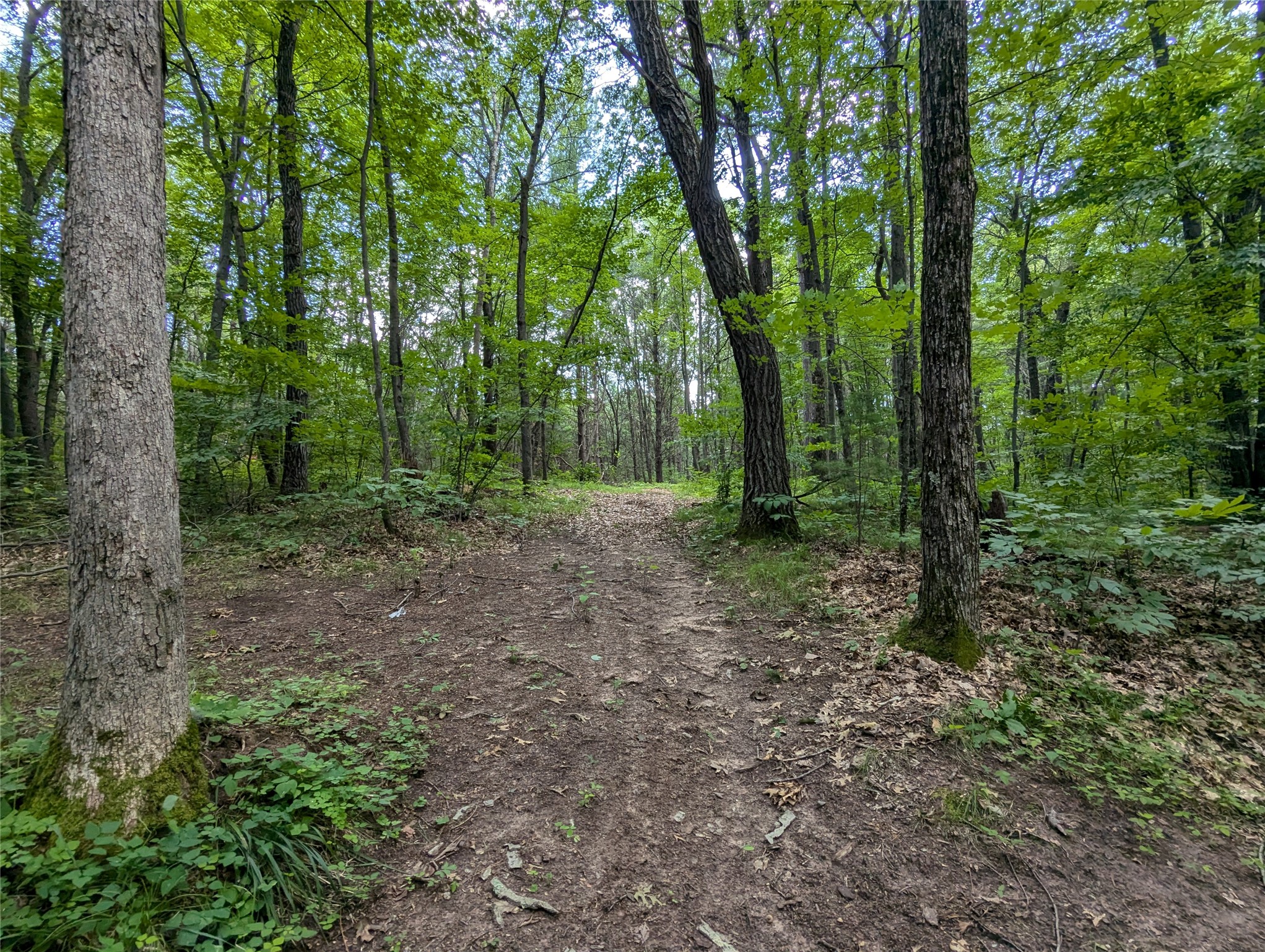 Lot 4 Fosmo Drive Property Photo 2