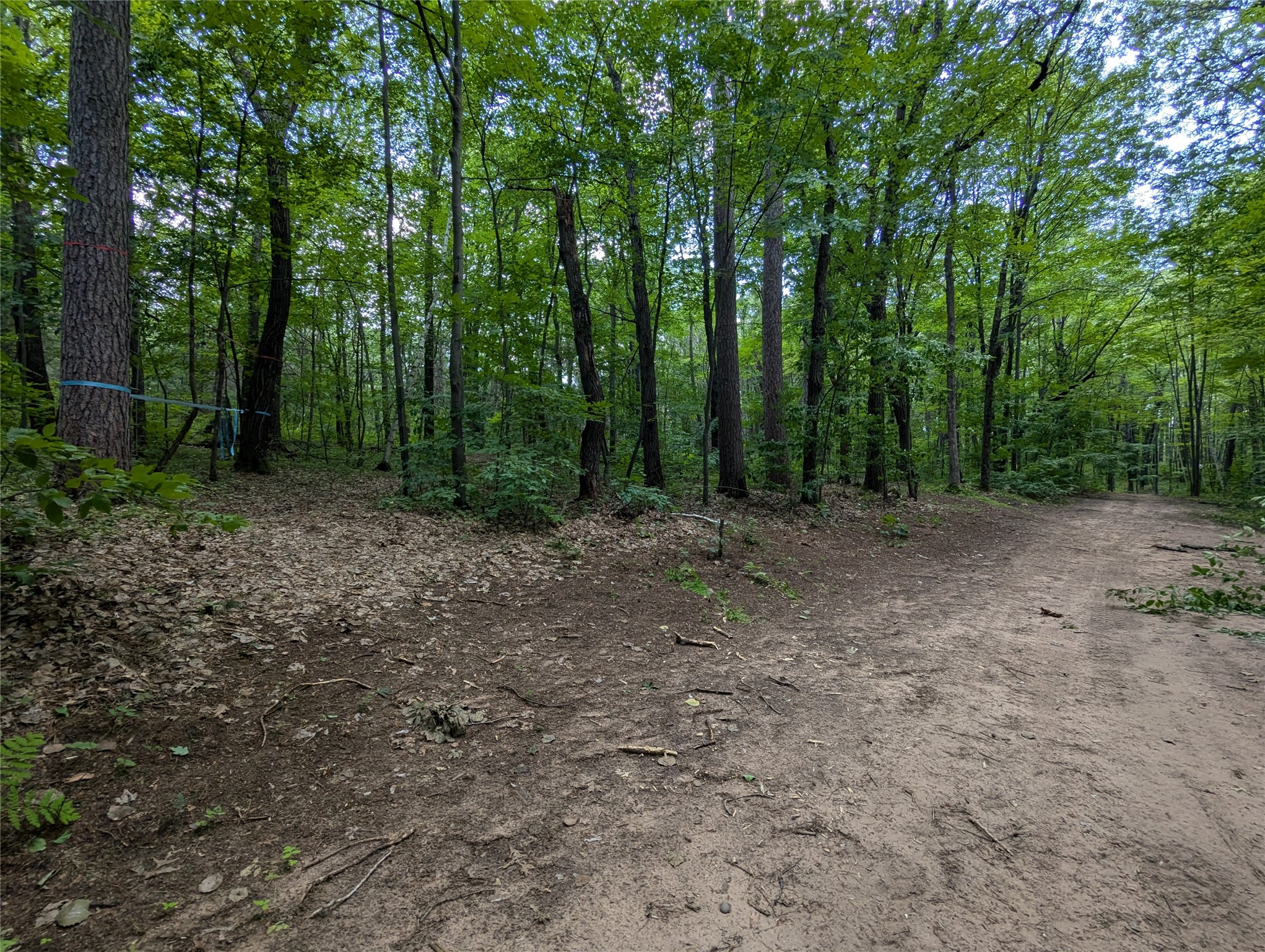 Lot 4 Fosmo Drive Property Photo 3