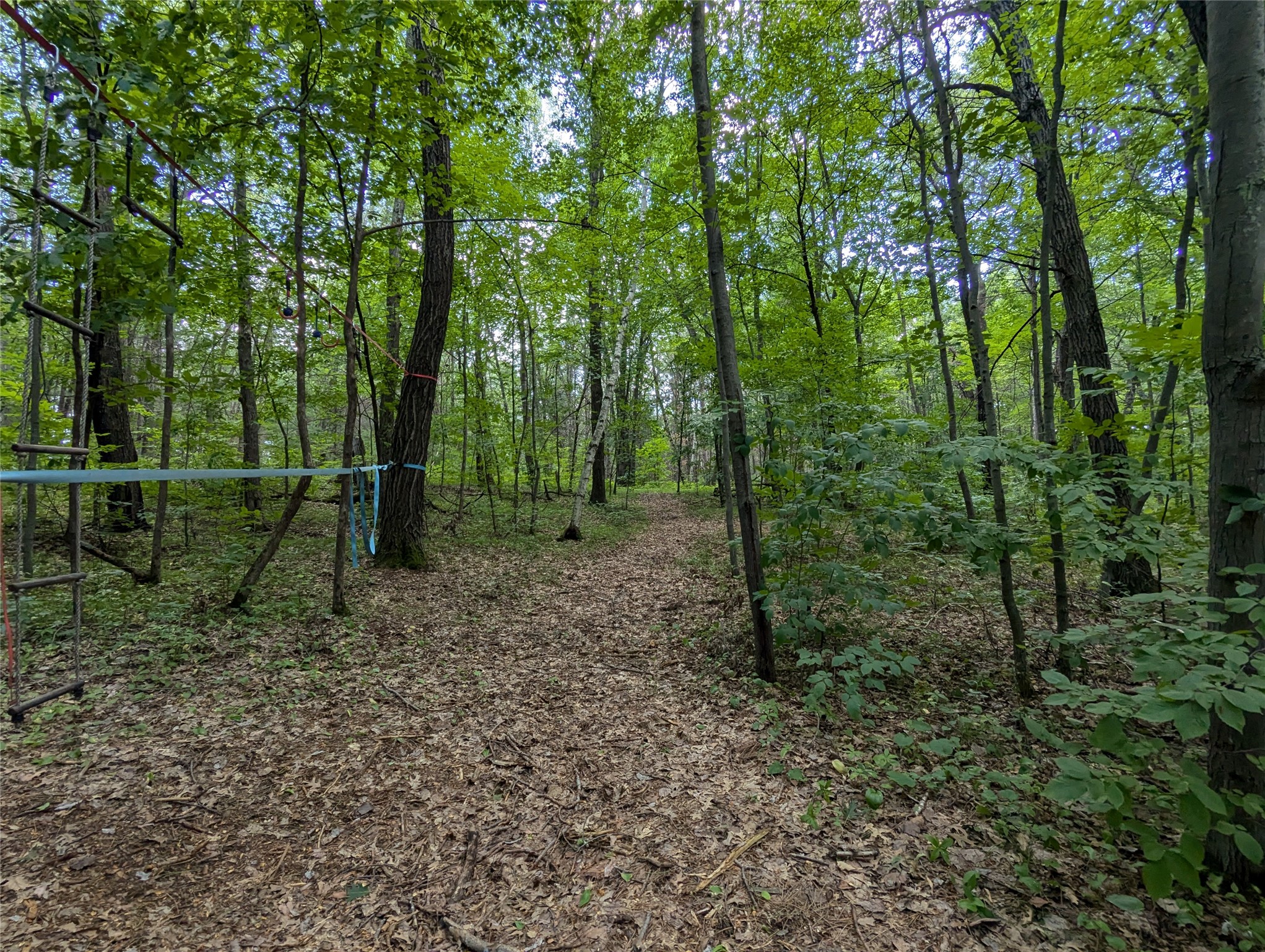 Lot 4 Fosmo Drive Property Photo 4