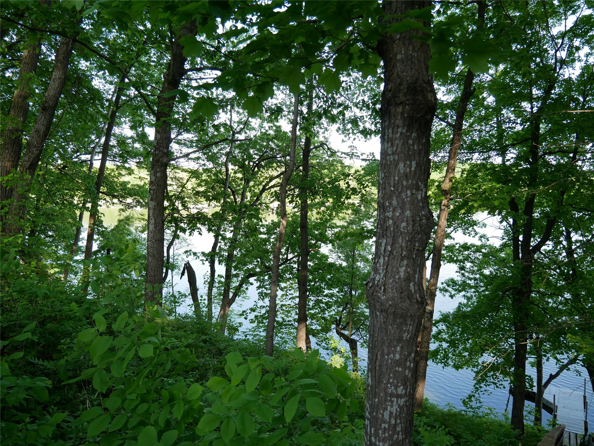 N1003 Deerhead Point Drive Property Photo 21