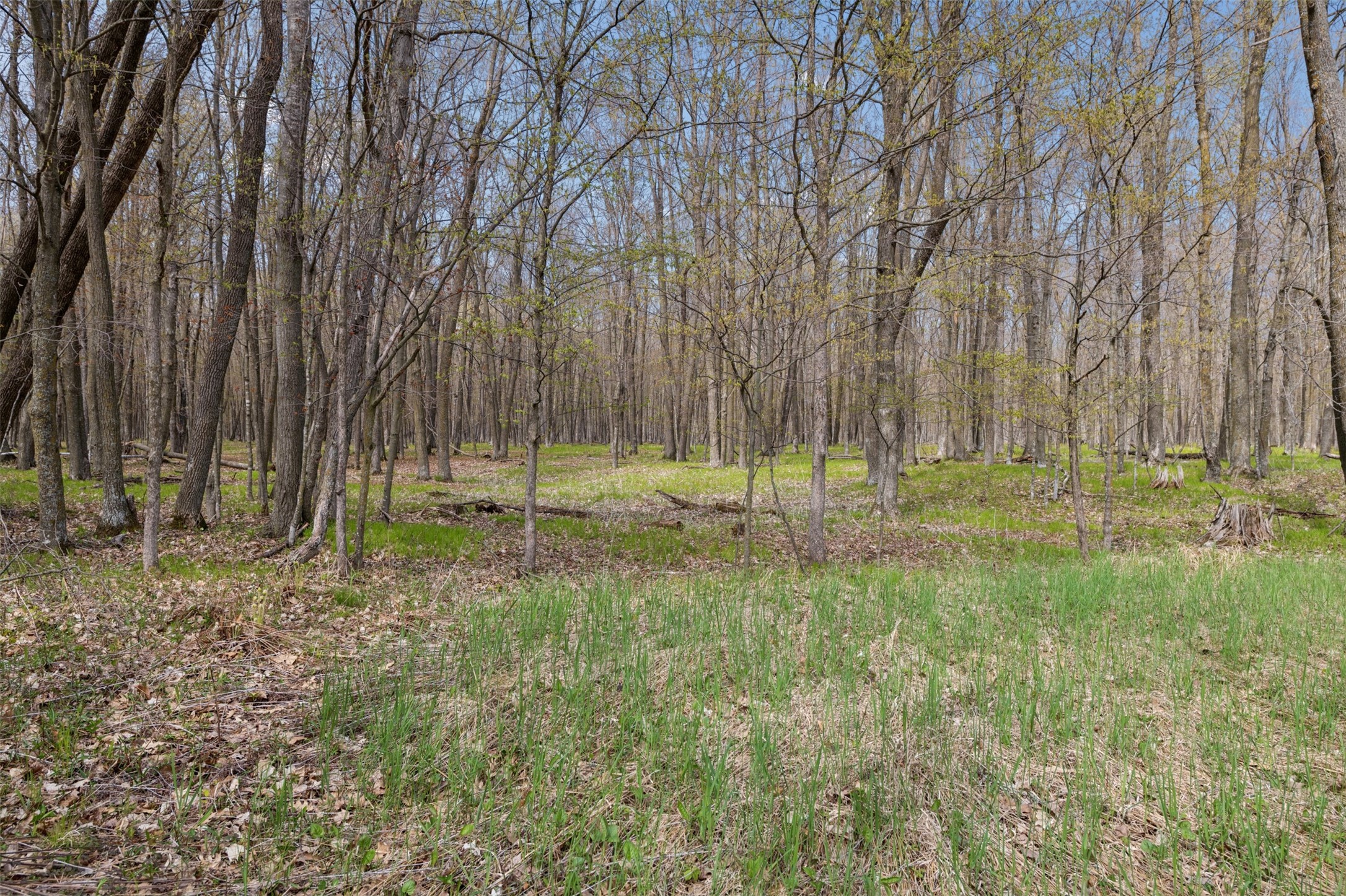 316 Wennenberg Shore Drive Property Photo 23