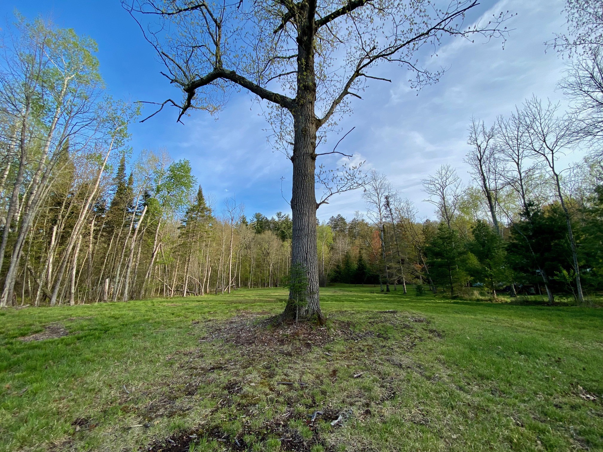 00 County Road Y Property Photo 16
