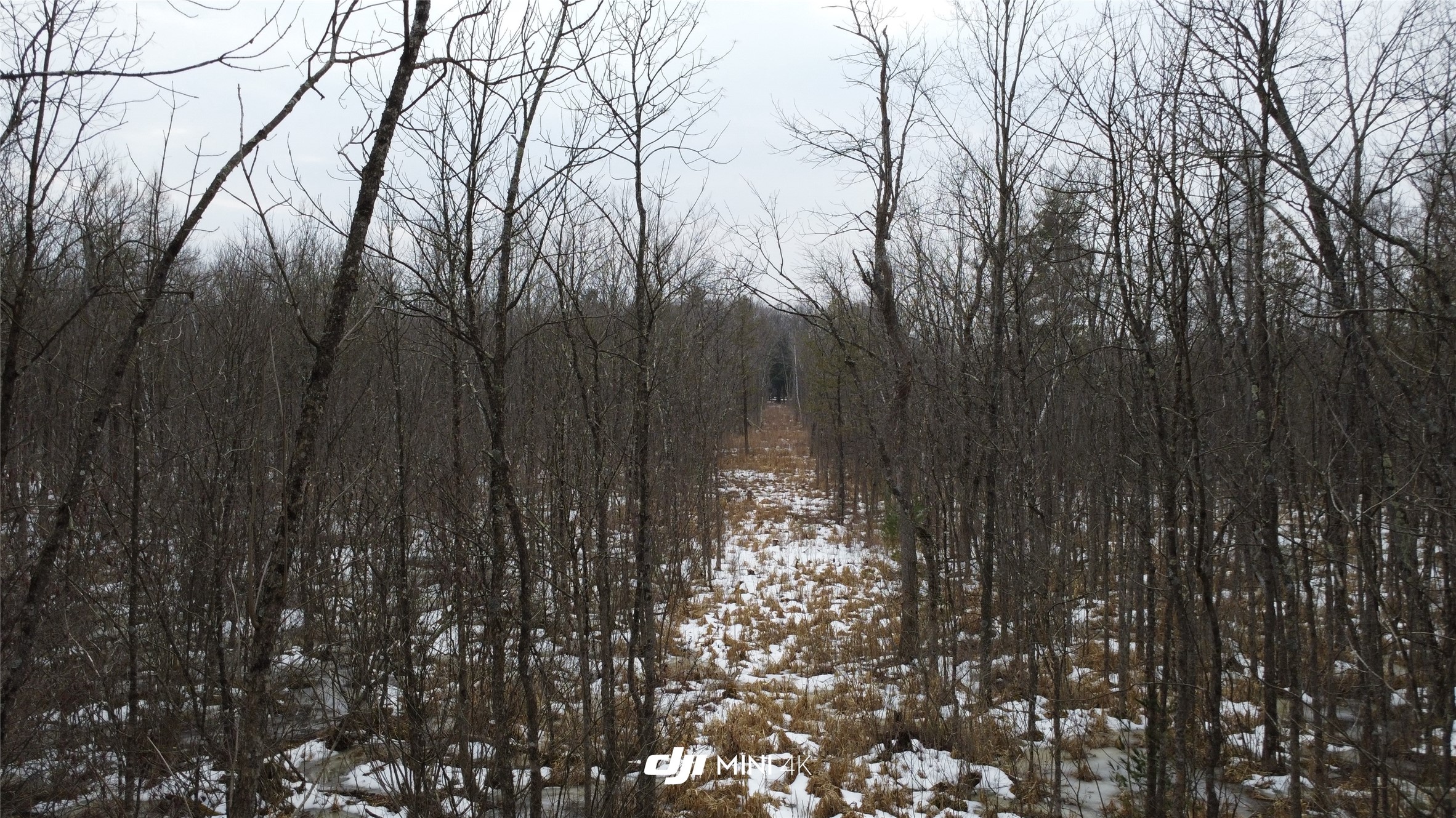 Ooo Lake Road Property Photo 2