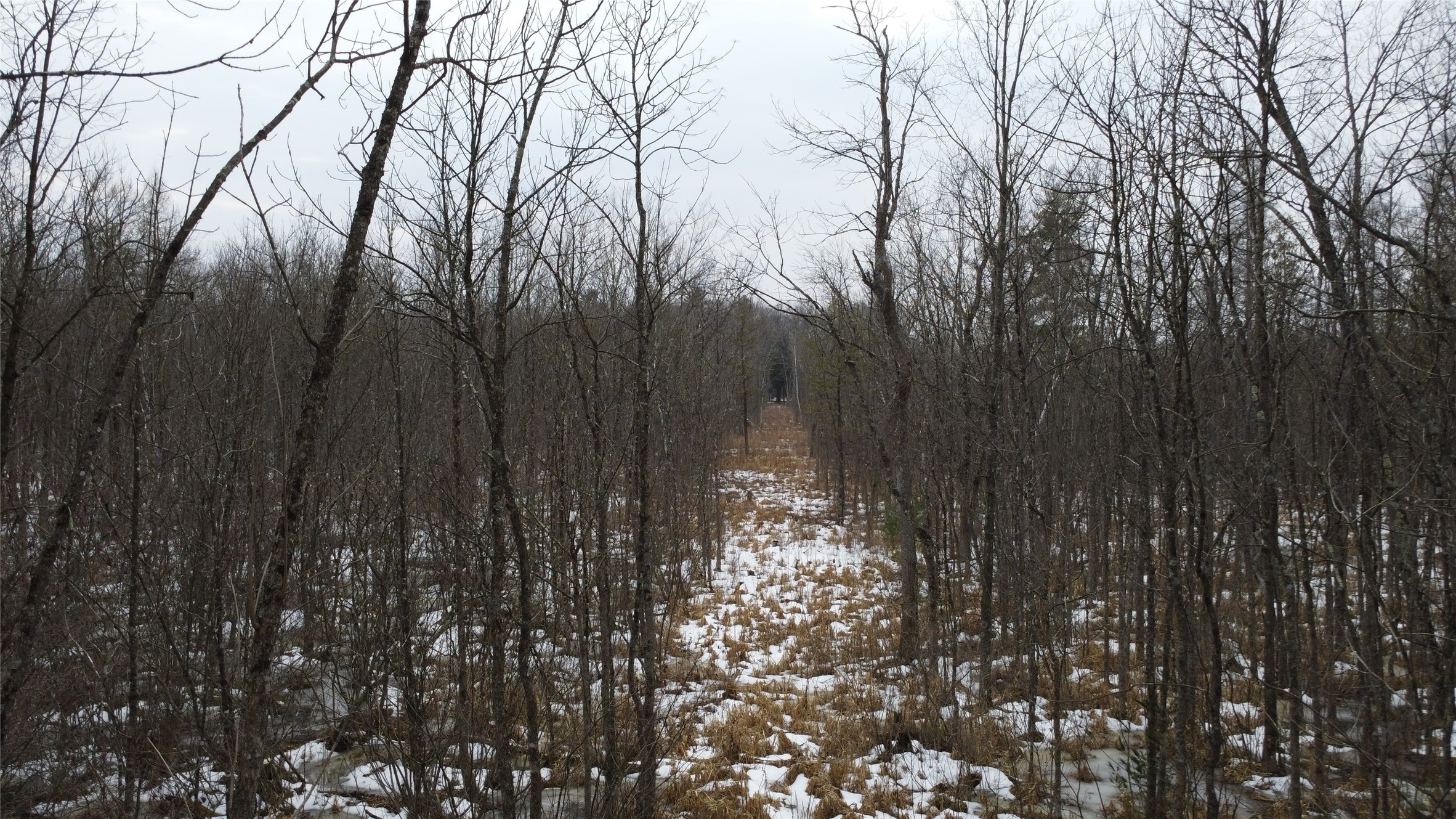 Ooo Lake Road Property Photo 4