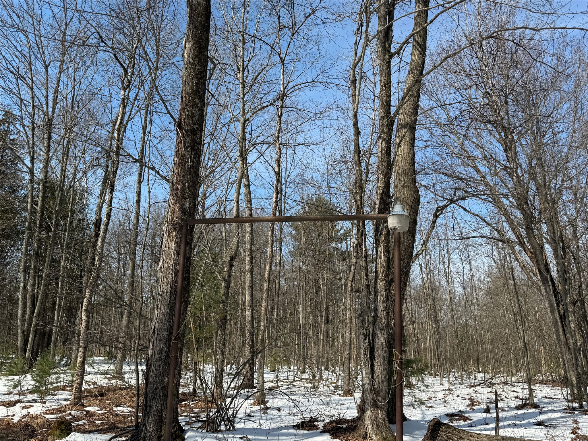 Ooo Lake Road Property Photo 5