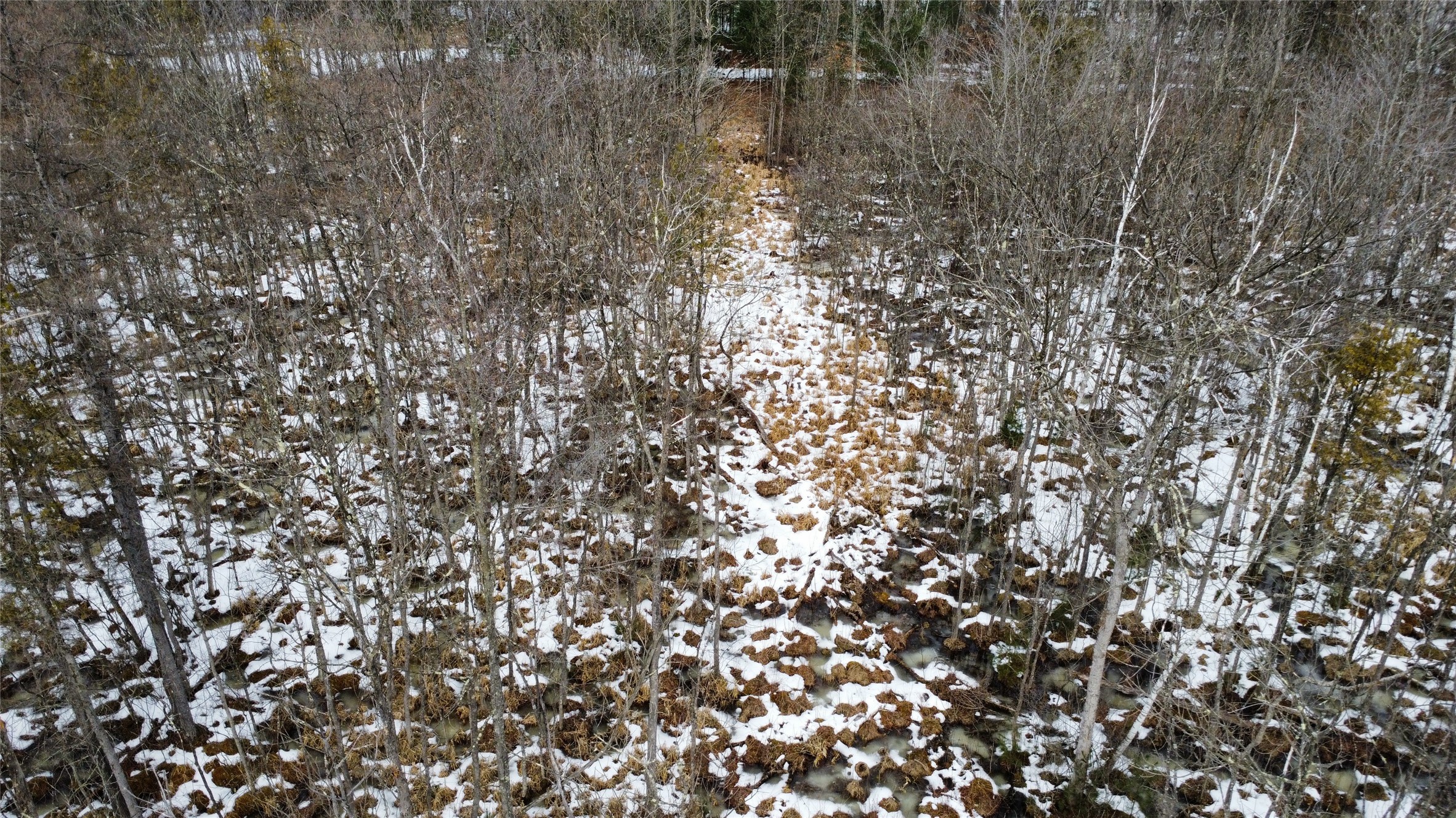 Ooo Lake Road Property Photo 6