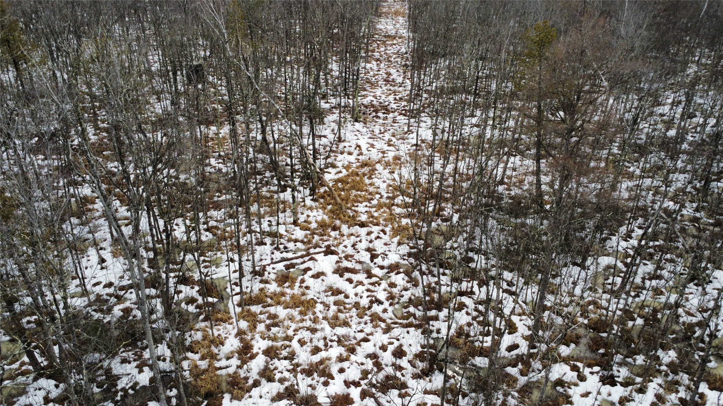 Ooo Lake Road Property Photo 8