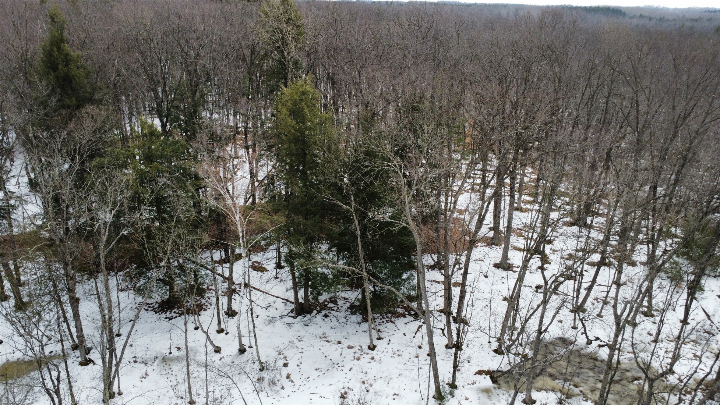 Ooo Lake Road Property Photo 10