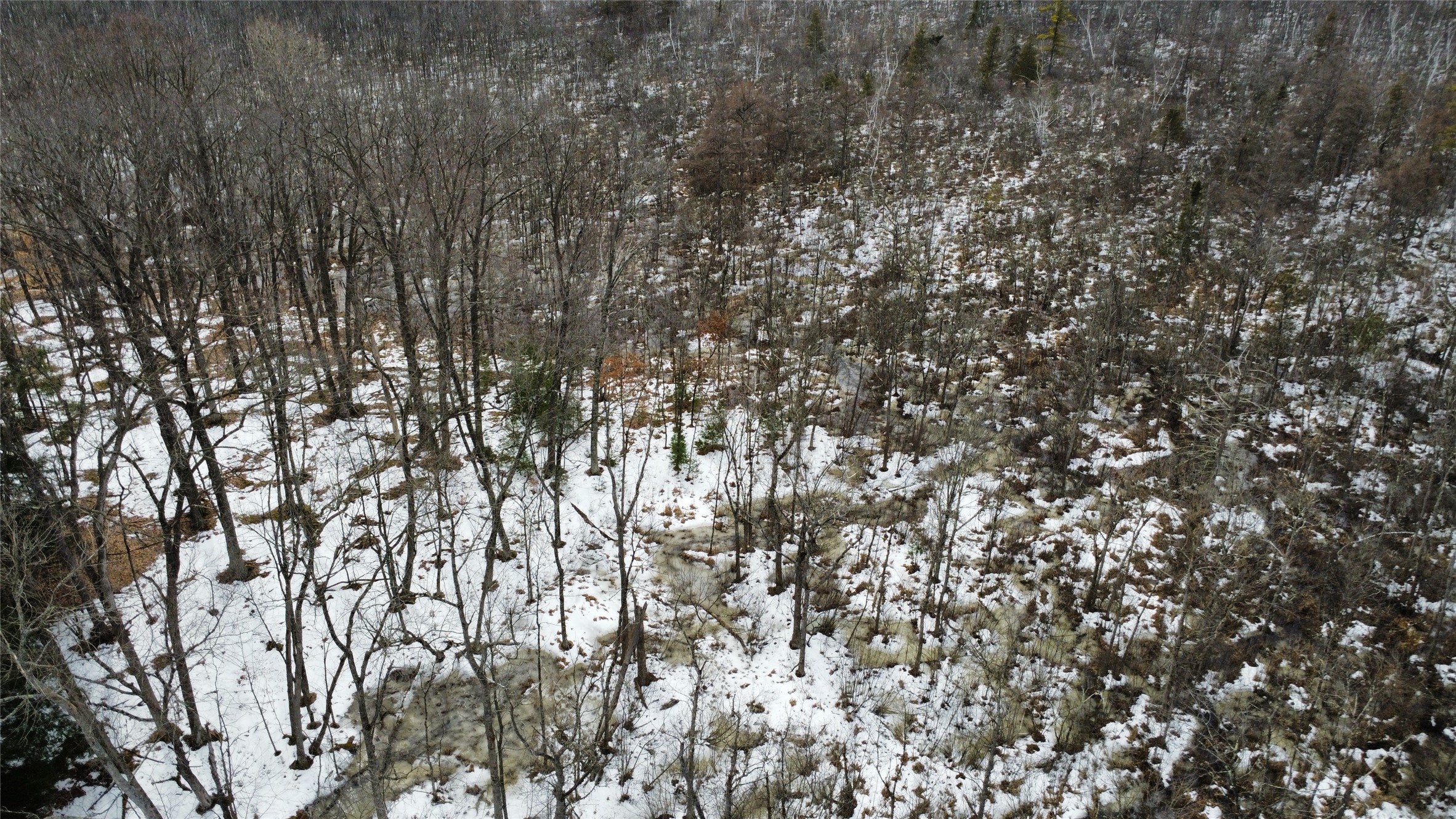 Ooo Lake Road Property Photo 11