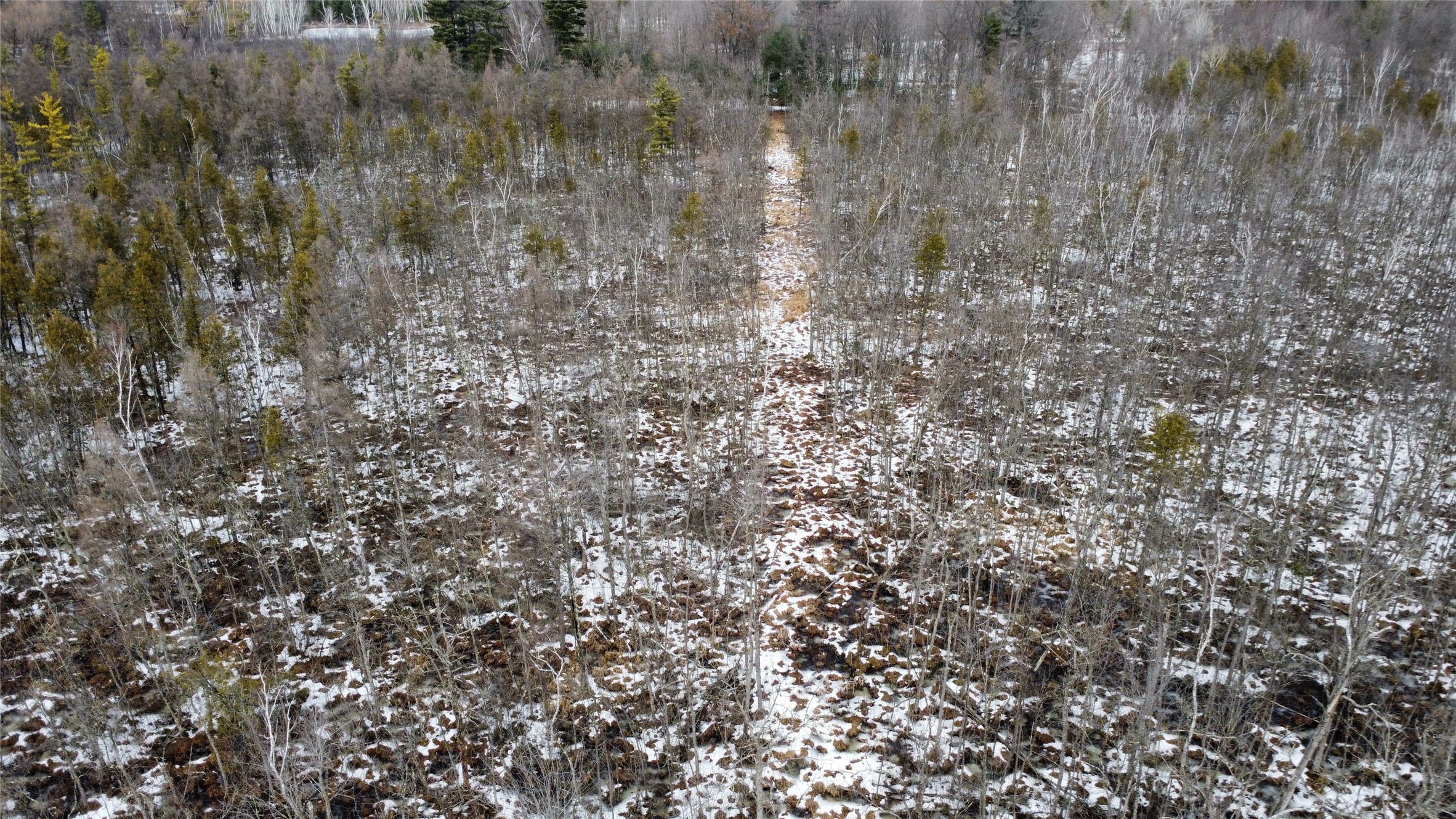 Ooo Lake Road Property Photo 15