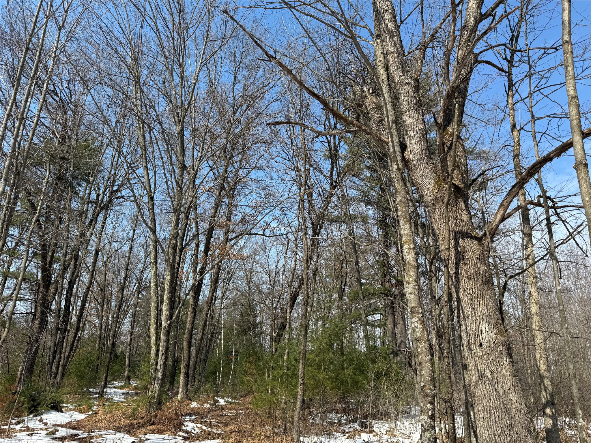 Ooo Lake Road Property Photo 17