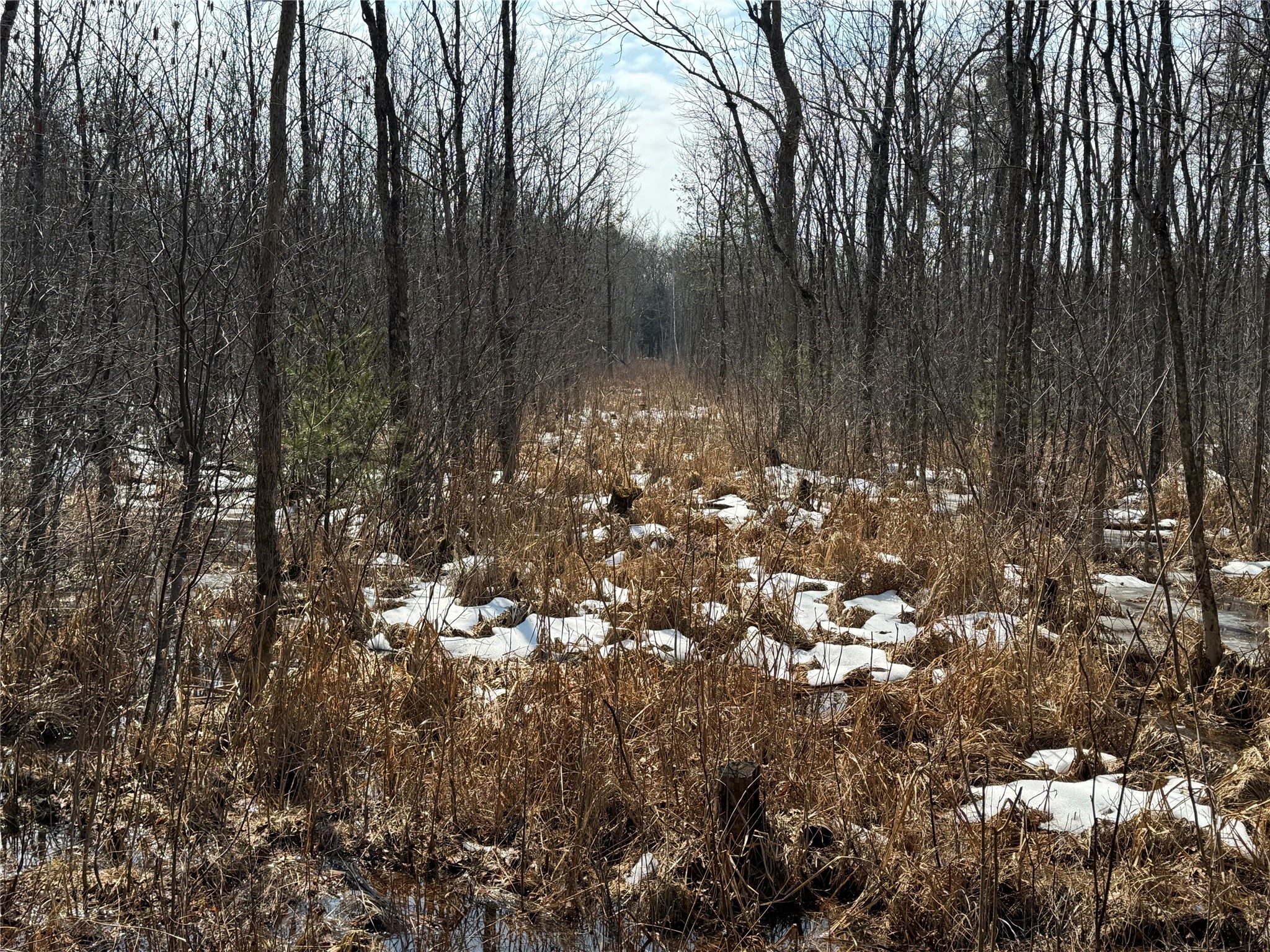 Ooo Lake Road Property Photo 22
