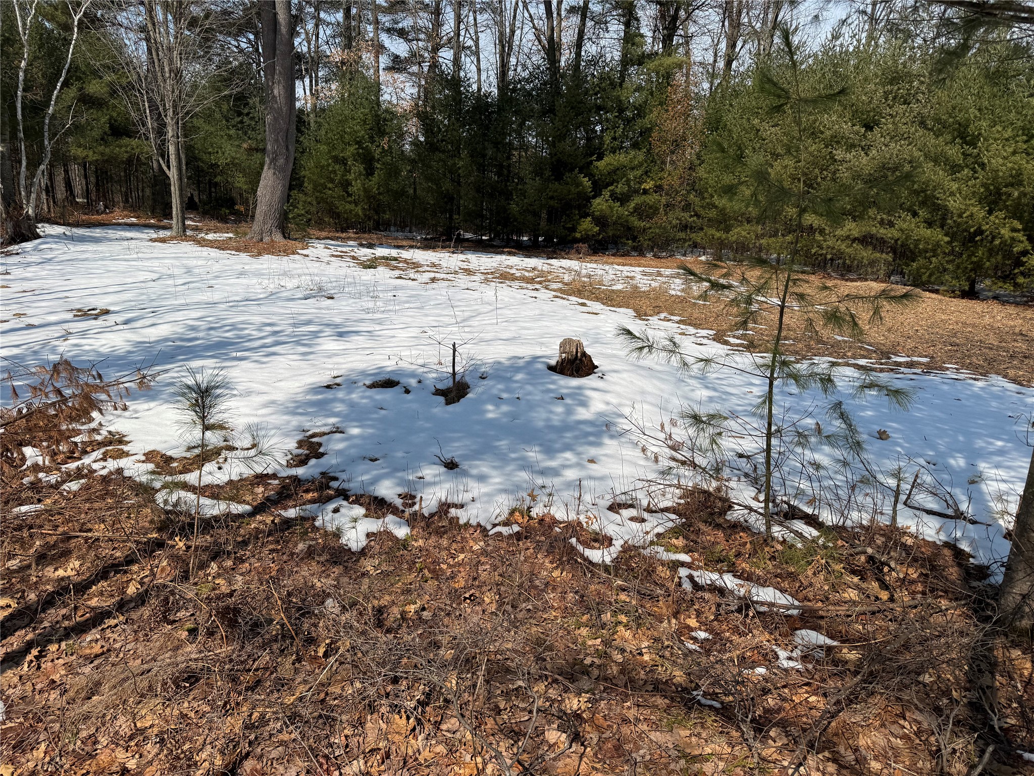 Ooo Lake Road Property Photo 24