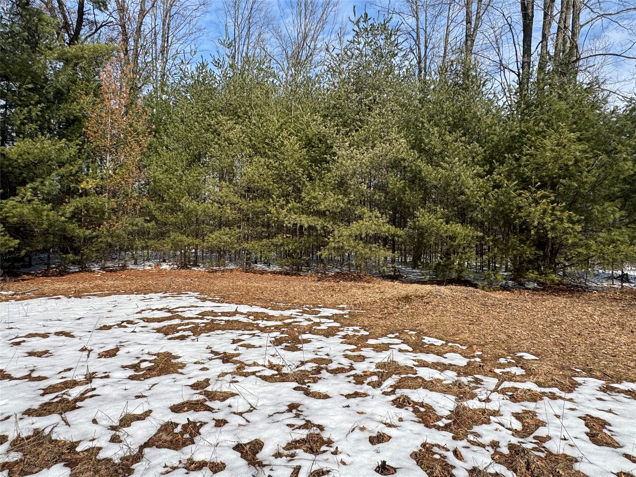 Ooo Lake Road Property Photo 28