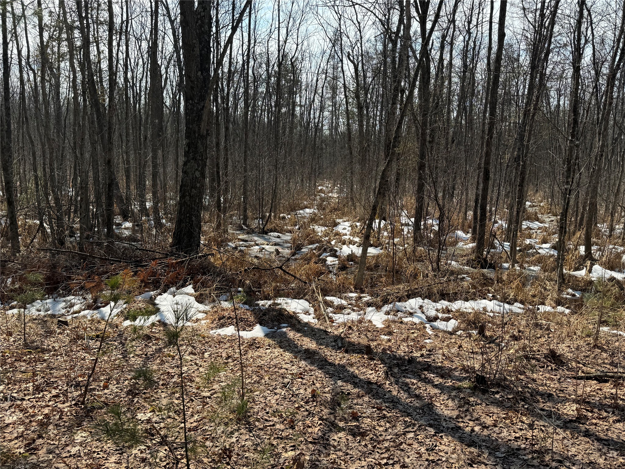 Ooo Lake Road Property Photo 30