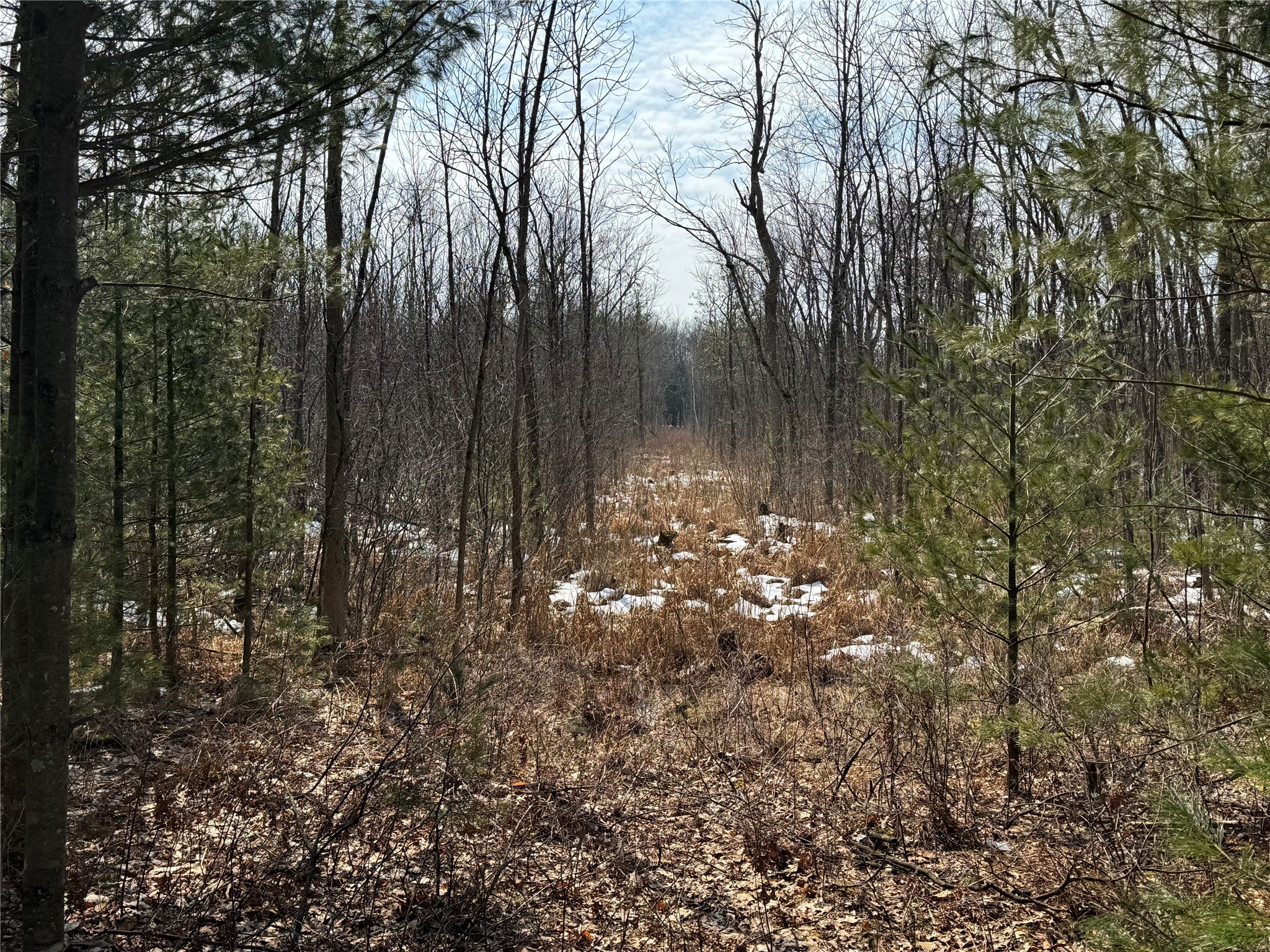 Ooo Lake Road Property Photo 31
