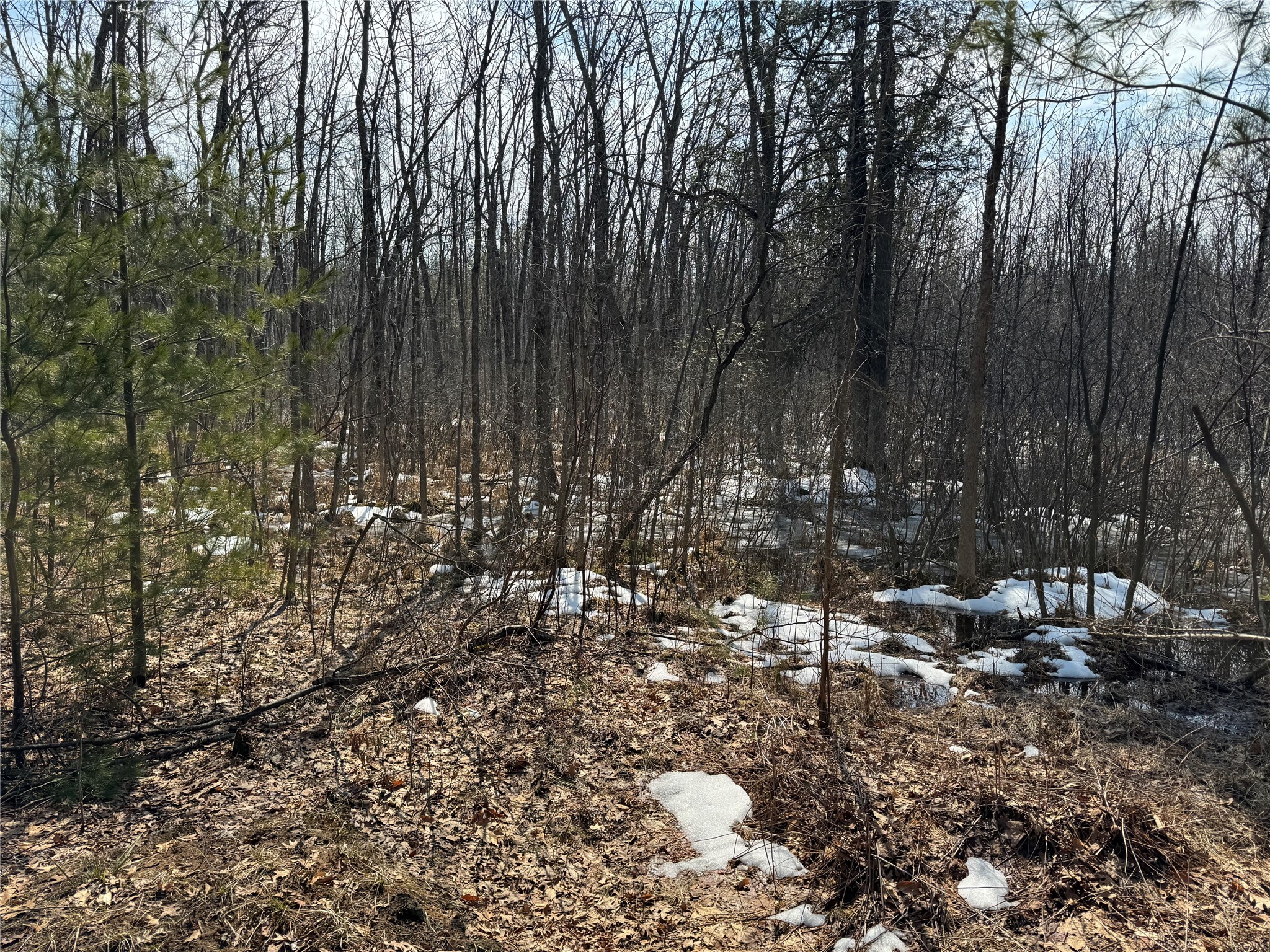 Ooo Lake Road Property Photo 32