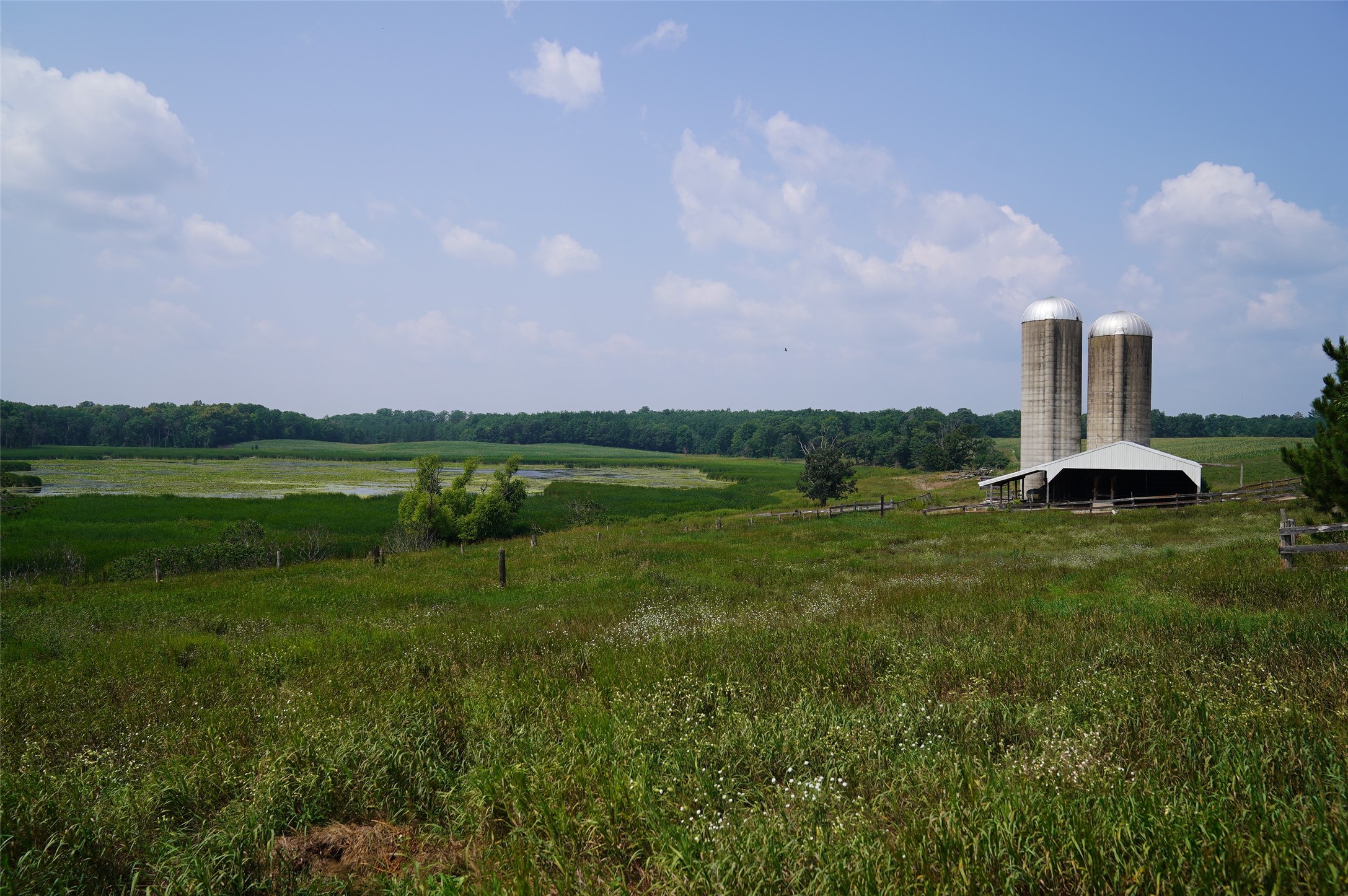 1847 Dubois Road Property Photo 26