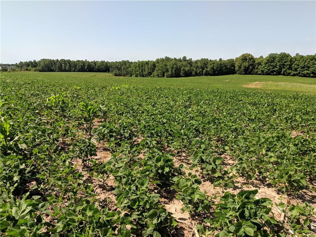 40 Acres County Road B W Property Photo 3