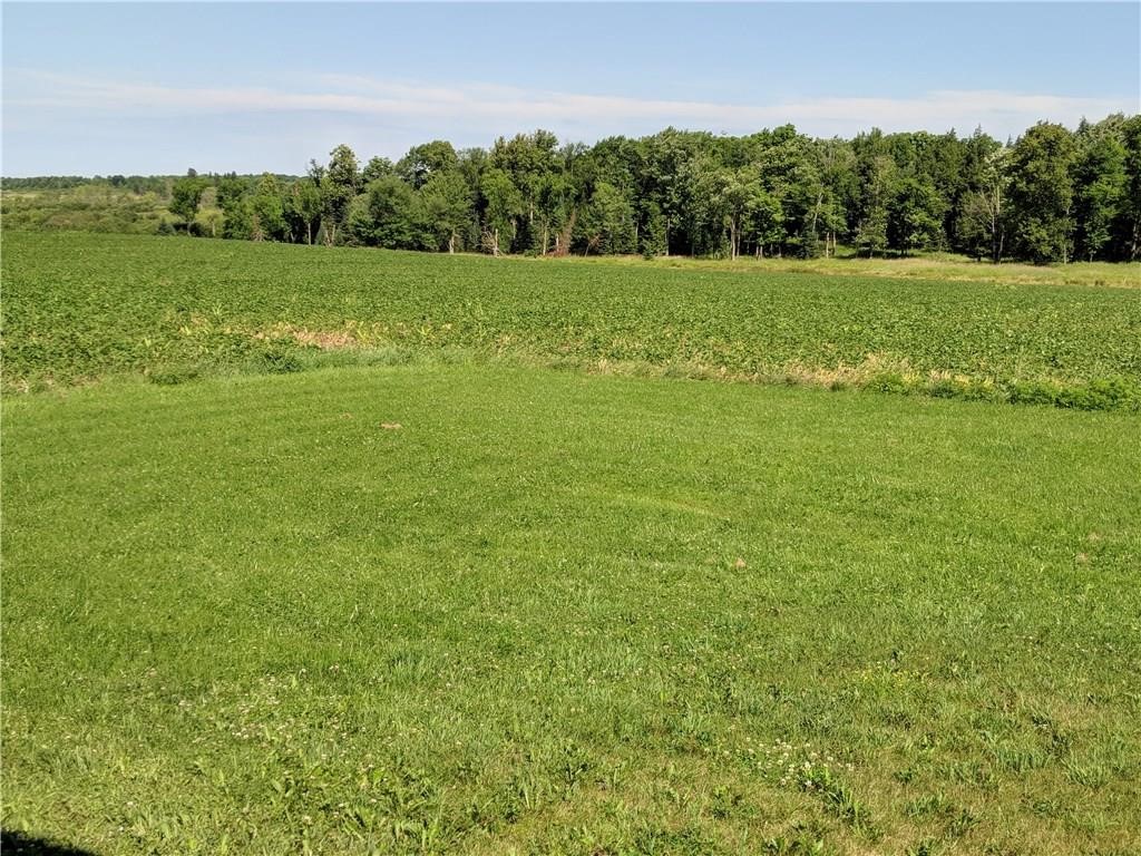 40 Acres County Road B W Property Photo 4