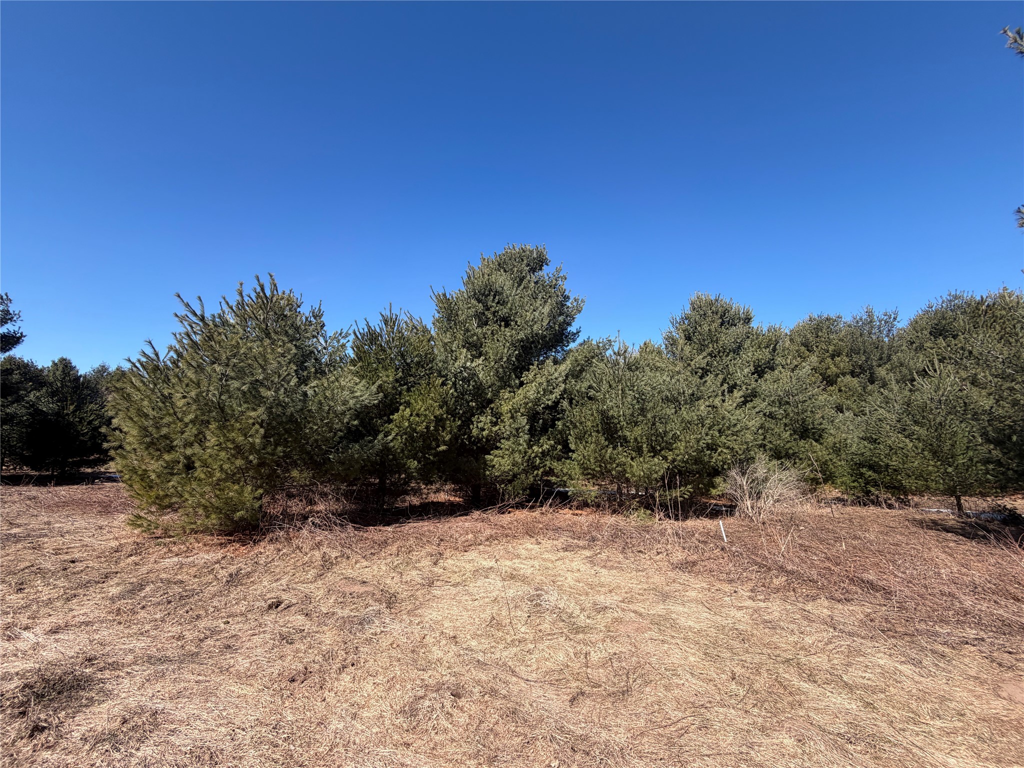 27102 (14 Lots) Daniel Drive Property Photo 47