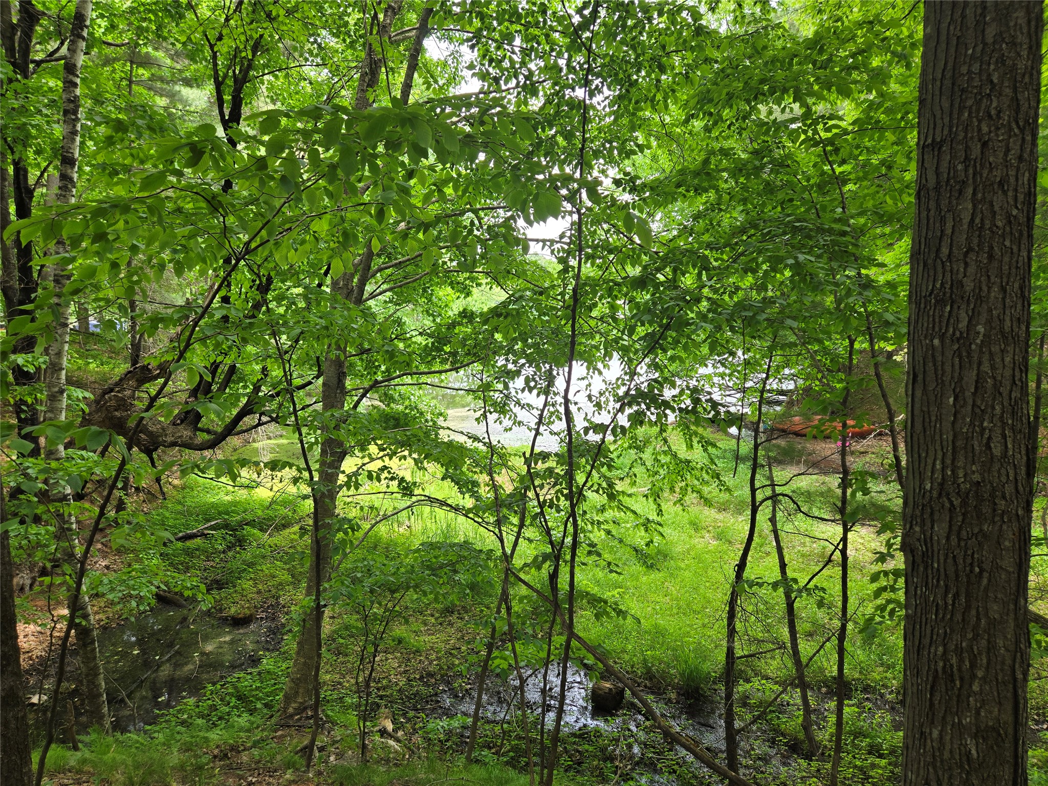 Lot 3 732nd Avenue Property Photo 2