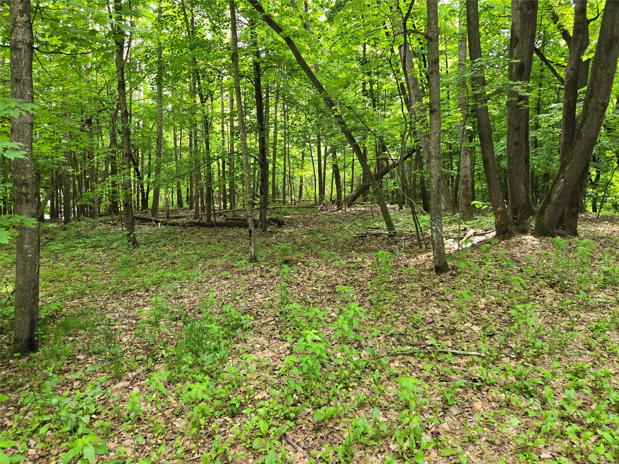 Lot 3 732nd Avenue Property Photo 4