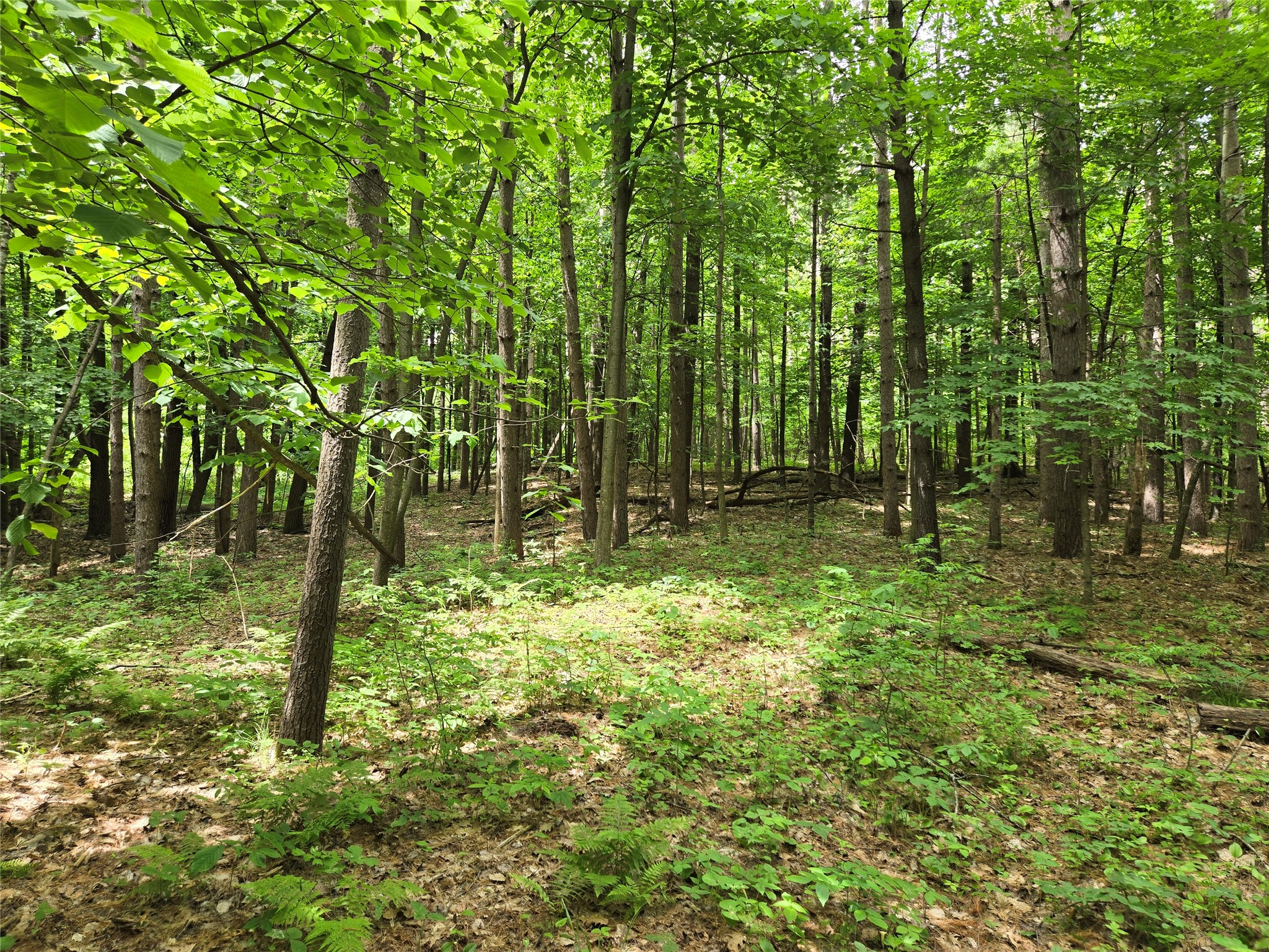 Lot 3 732nd Avenue Property Photo 6