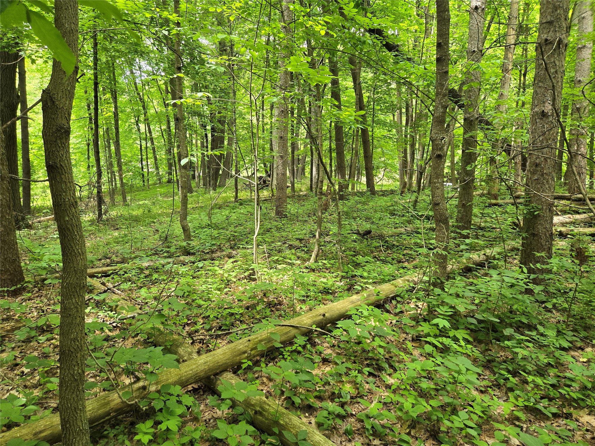 Lot 3 732nd Avenue Property Photo 7