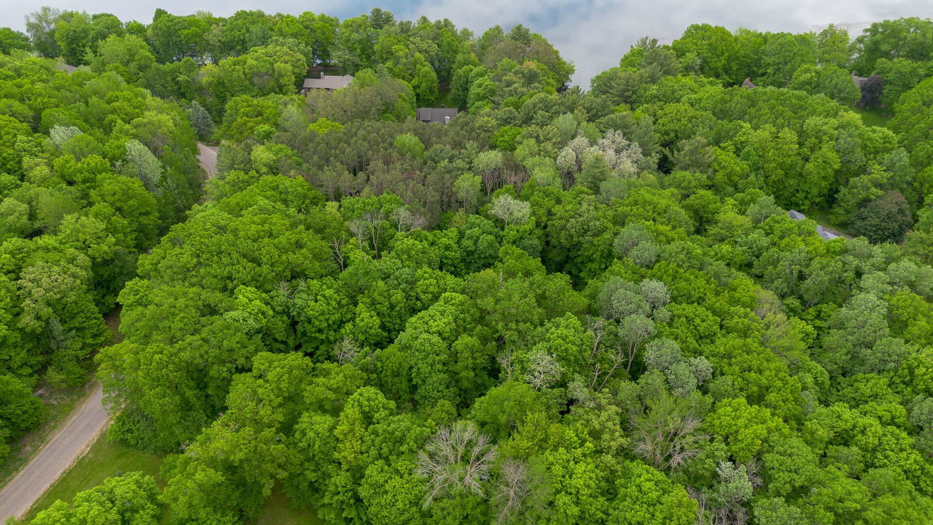Lot 3 732nd Avenue Property Photo 9