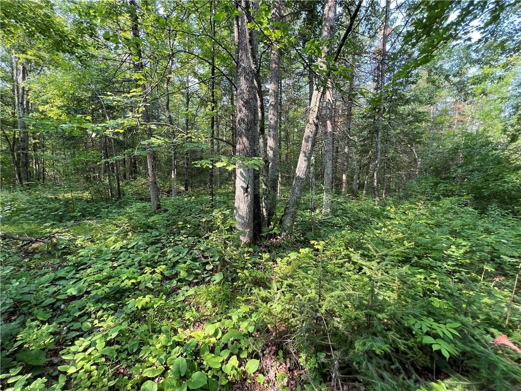 W8804 Timber Trail E Property Photo 2