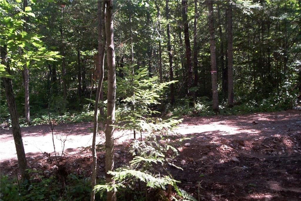 W8804 Timber Trail E Property Photo 4