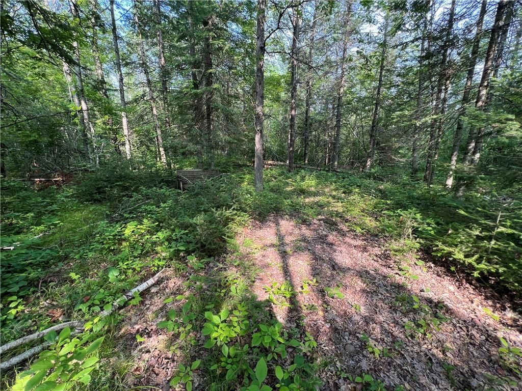 W8804 Timber Trail E Property Photo 5